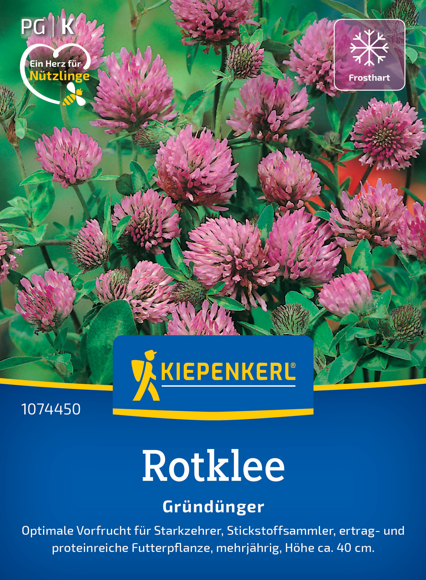 Rotklee Wiesenklee Rotklee Wiesenklee