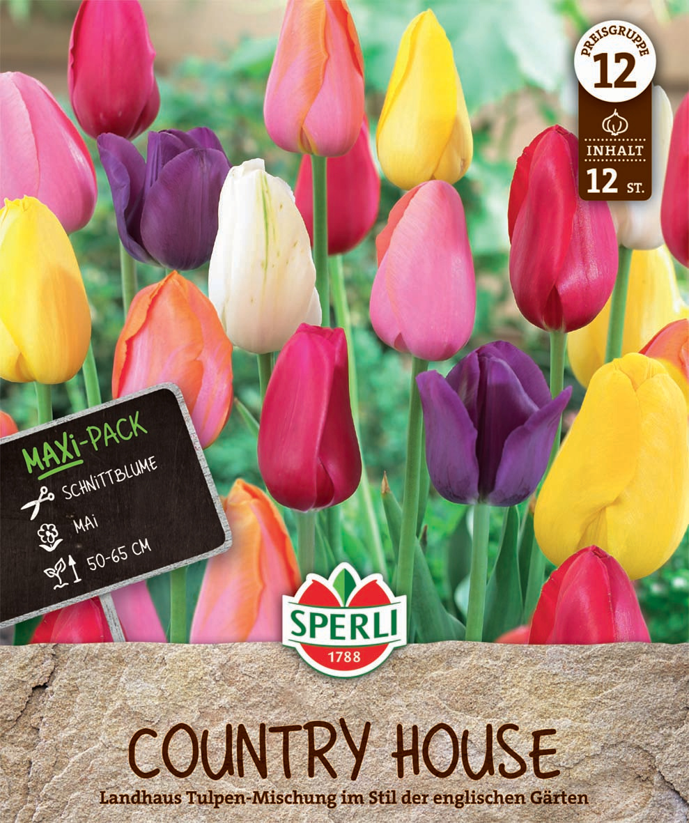 Maxi Tulpen Landhaus Mix