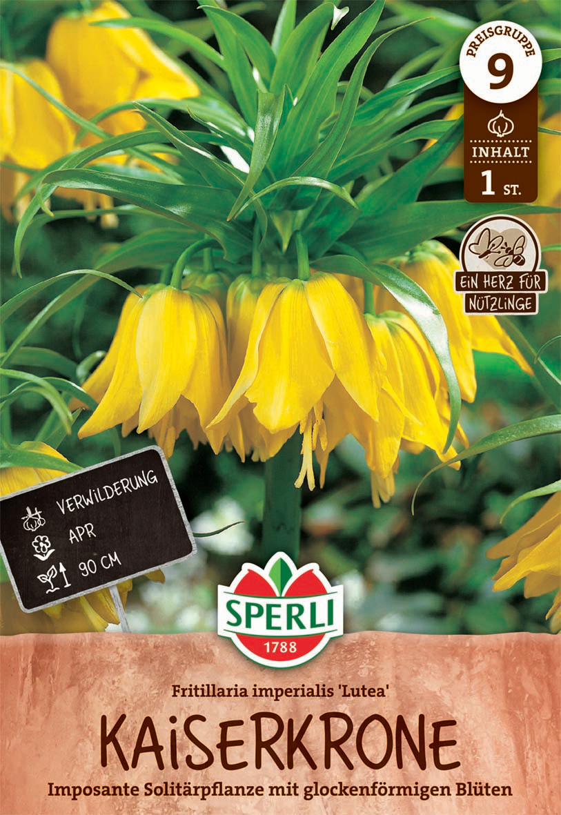 Kaiserkrone Lutea