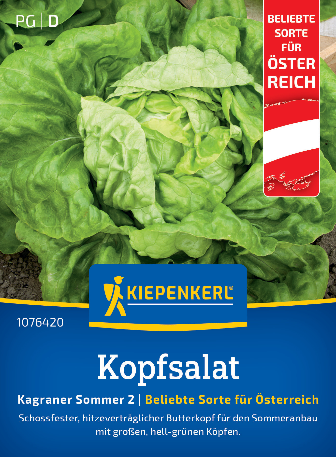 Kopfsalat Kagraner Sommer 2 (Regional AT)