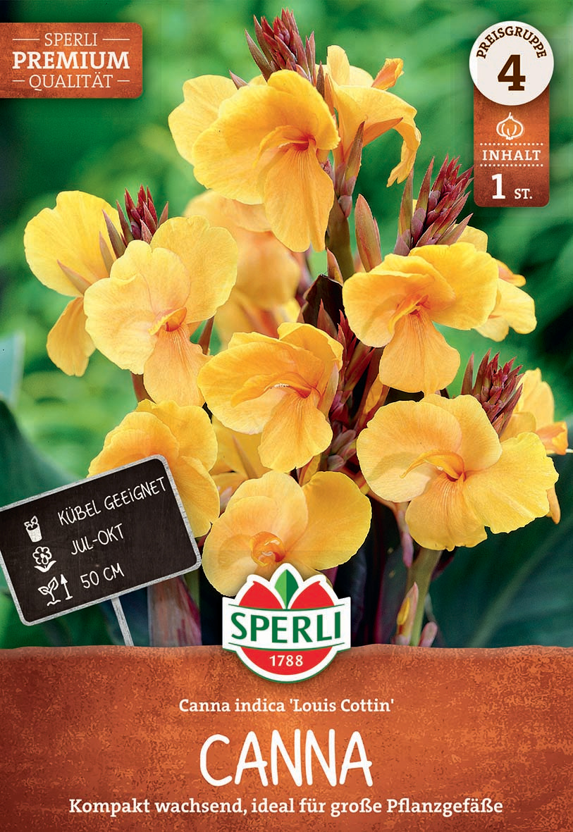 Blumenrohr Louis Cottin Blumenrohr Louis Cottin