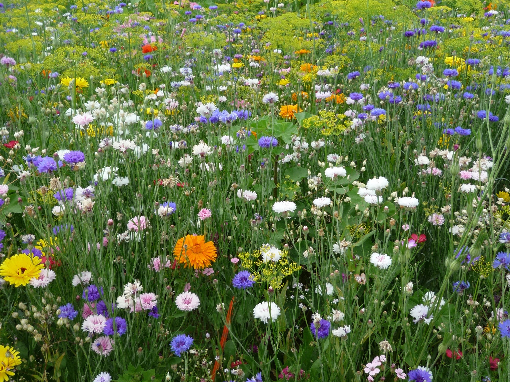 Farben vergangener Zeit Farben vergangener Zeit