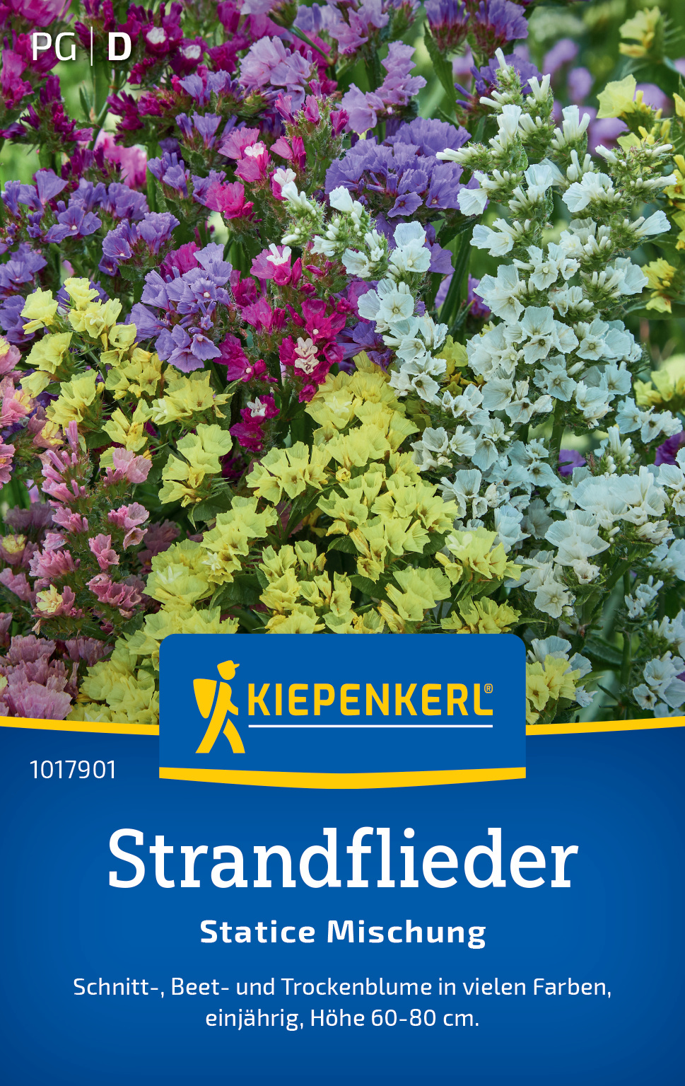 Strandflieder Statice Mischung