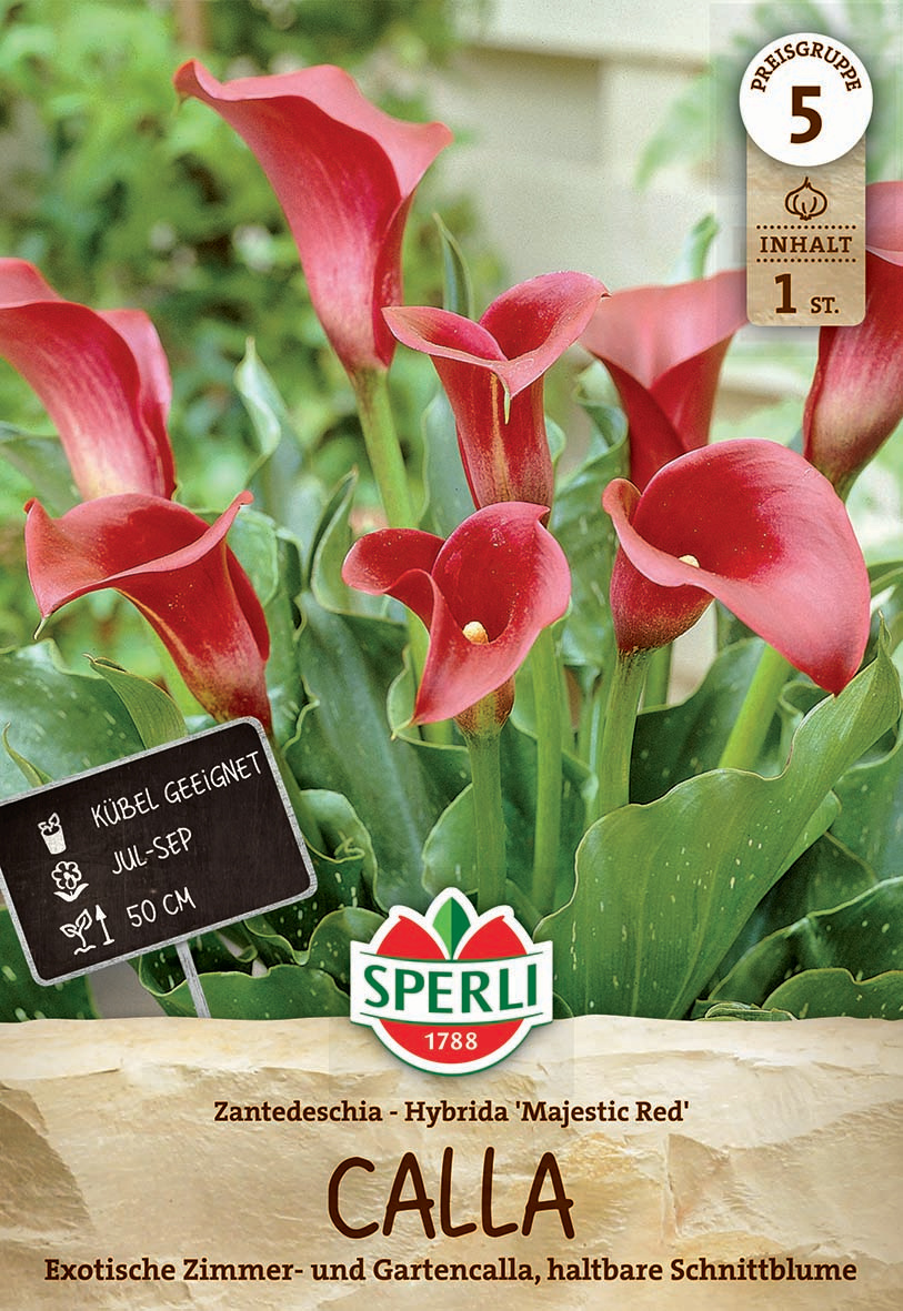 Calla Majestic Red Calla Majestic Red