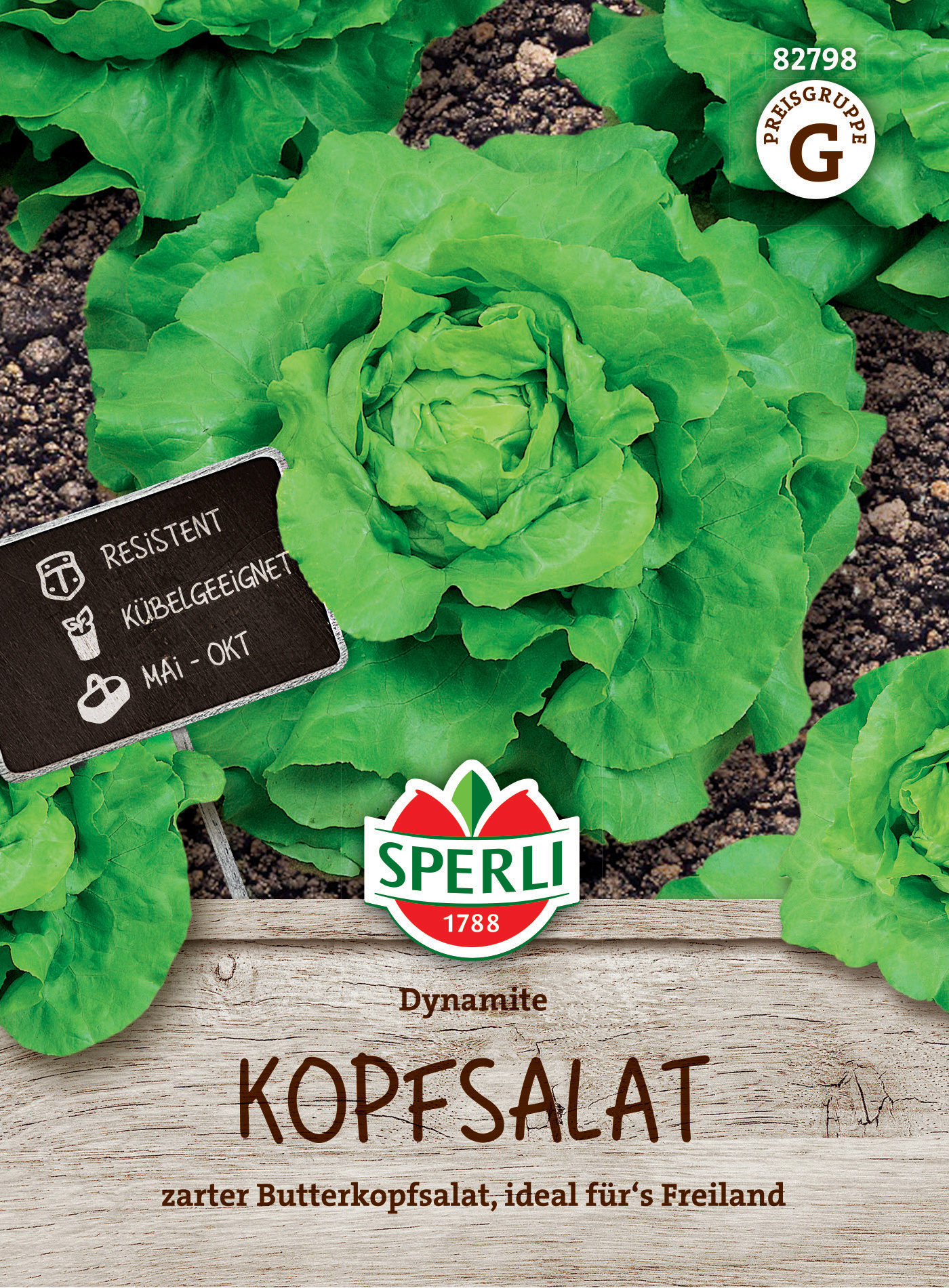 Kopfsalat Dynamite Kopfsalat Dynamite