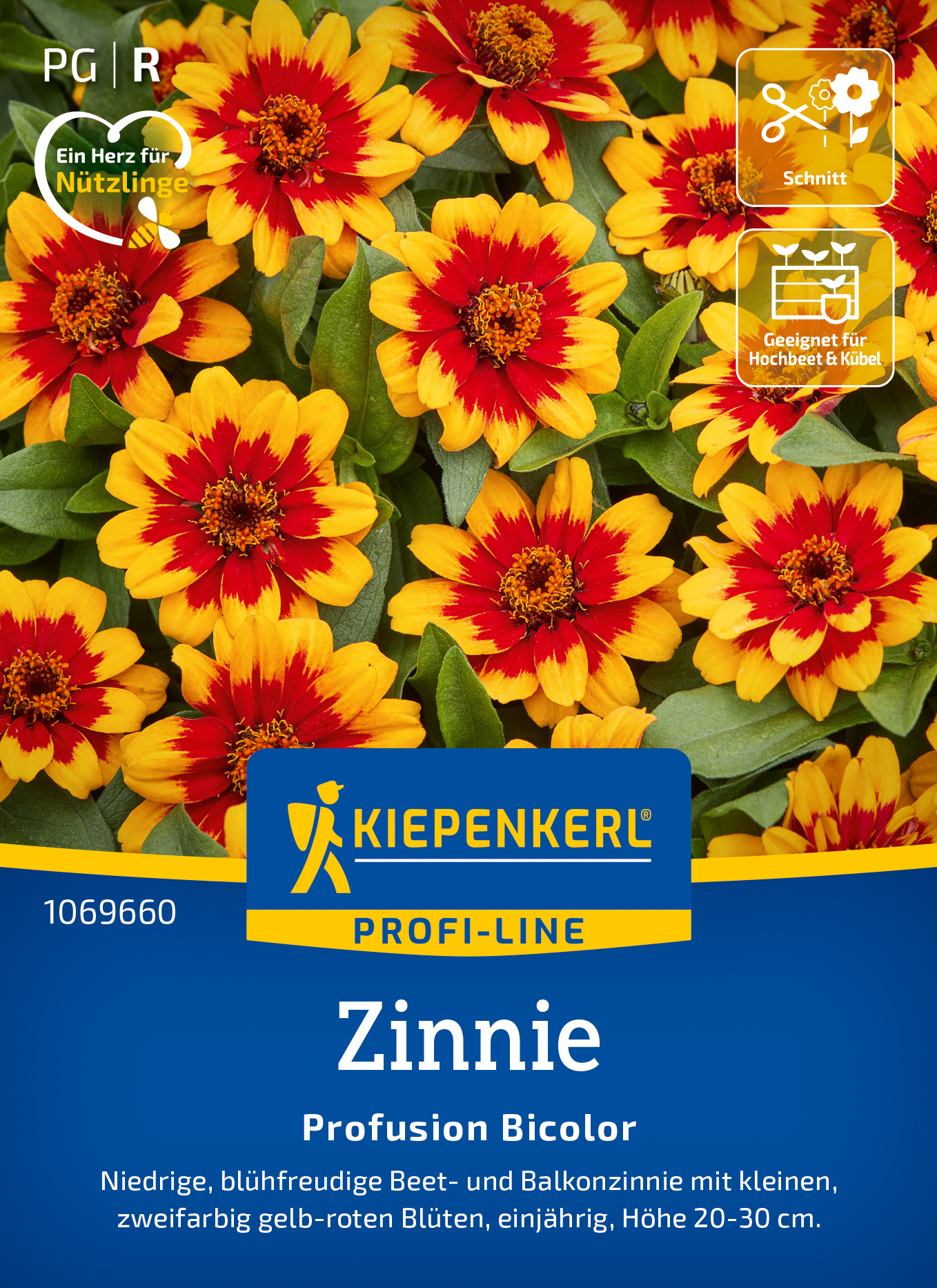 Zinnie Profusion Bicolor