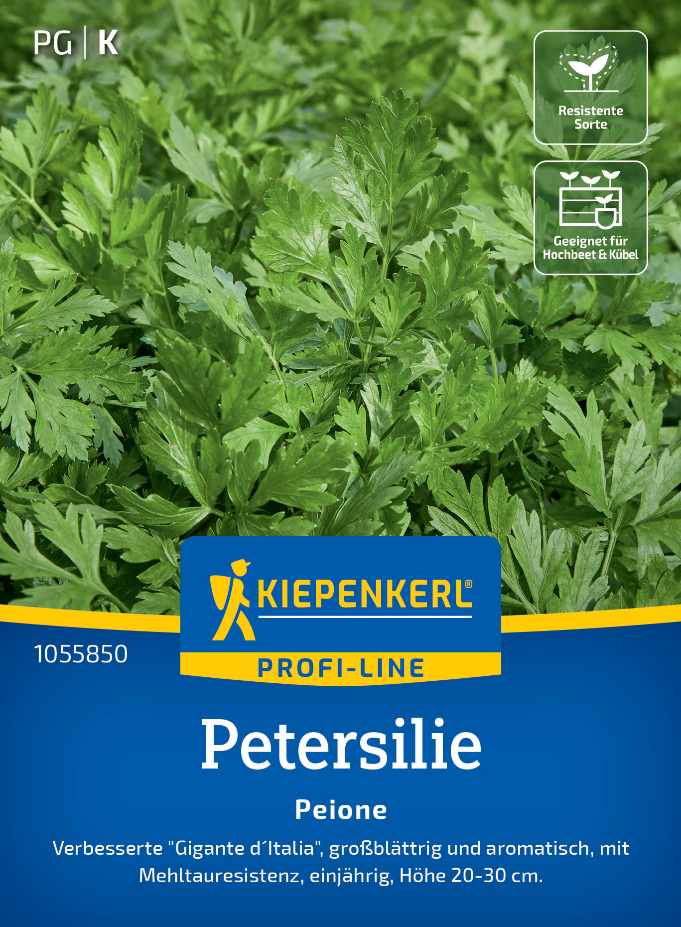 Petersilie Peione