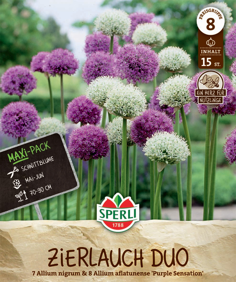 Maxi Zierlauch Duo