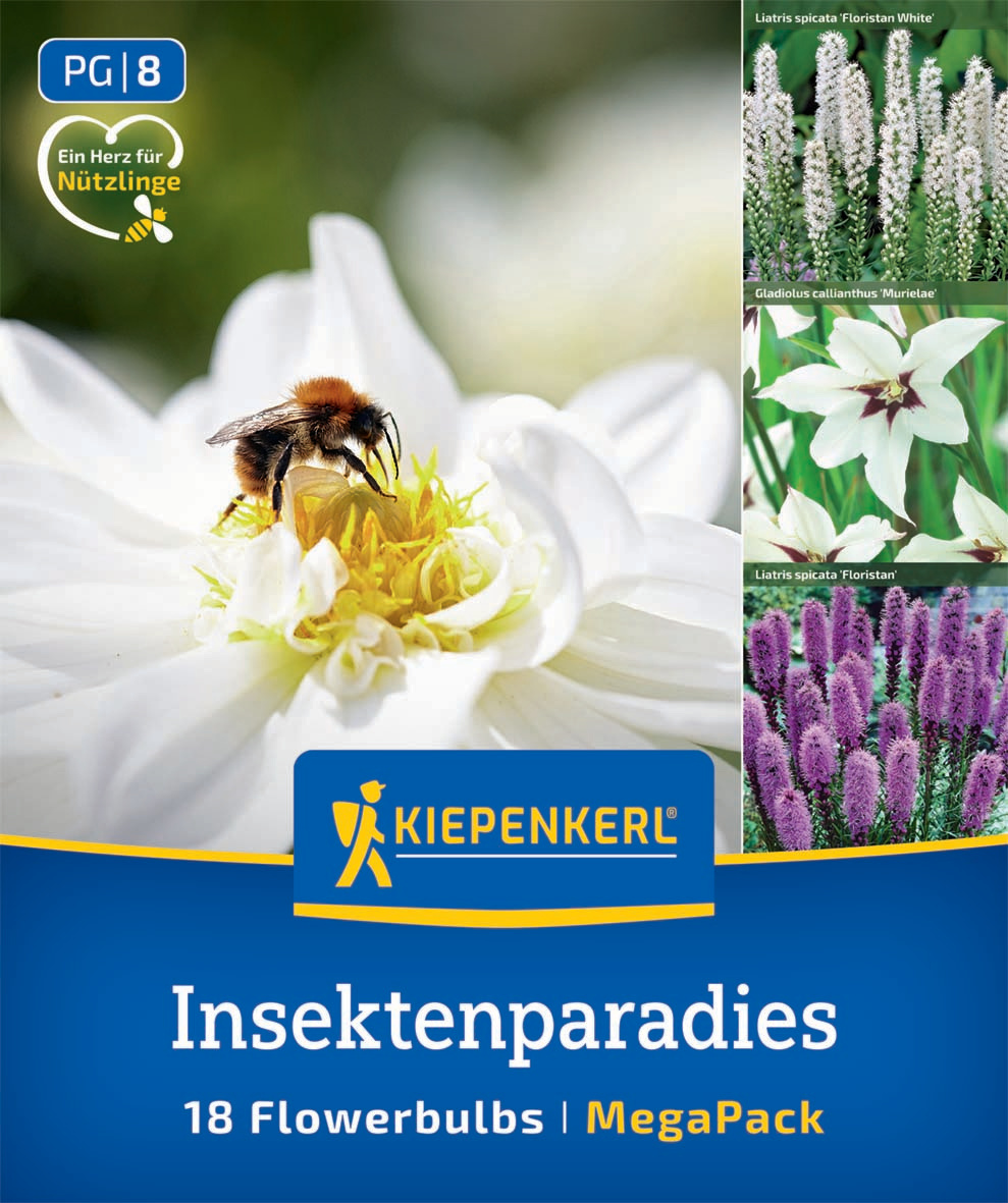Insektenparadies
