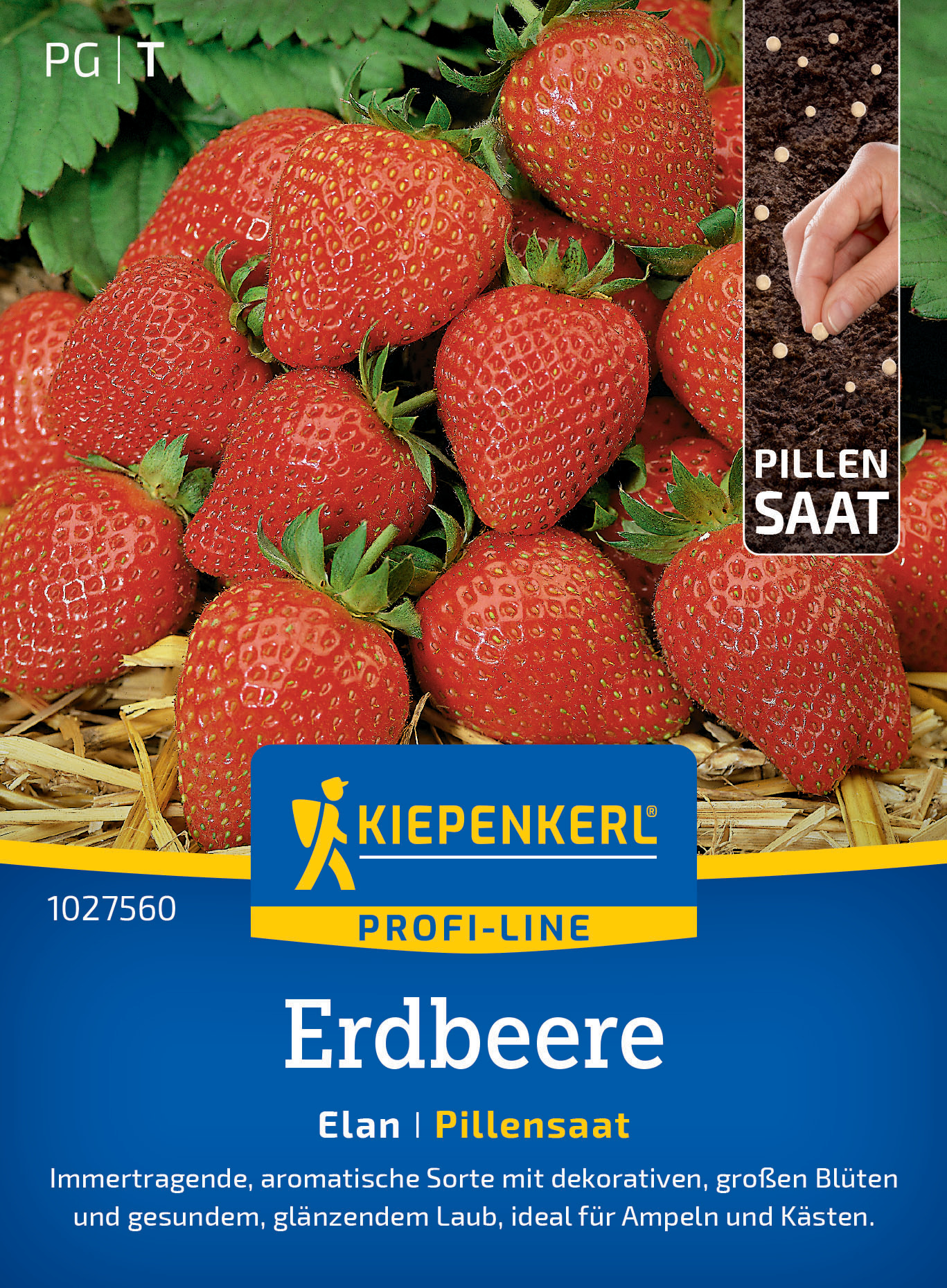 Erdbeere Elan, F1, Pillensaat
