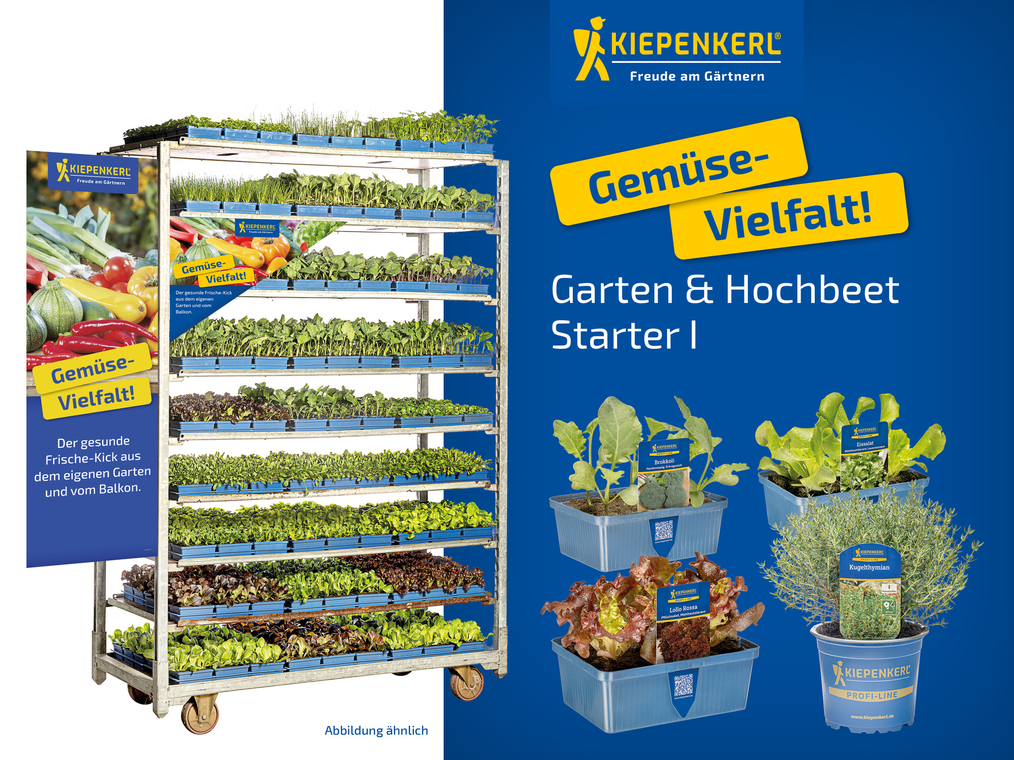 2026 - Frühjahr - ProfiLine Pflanzen - Garten & Hochbeet Starter I