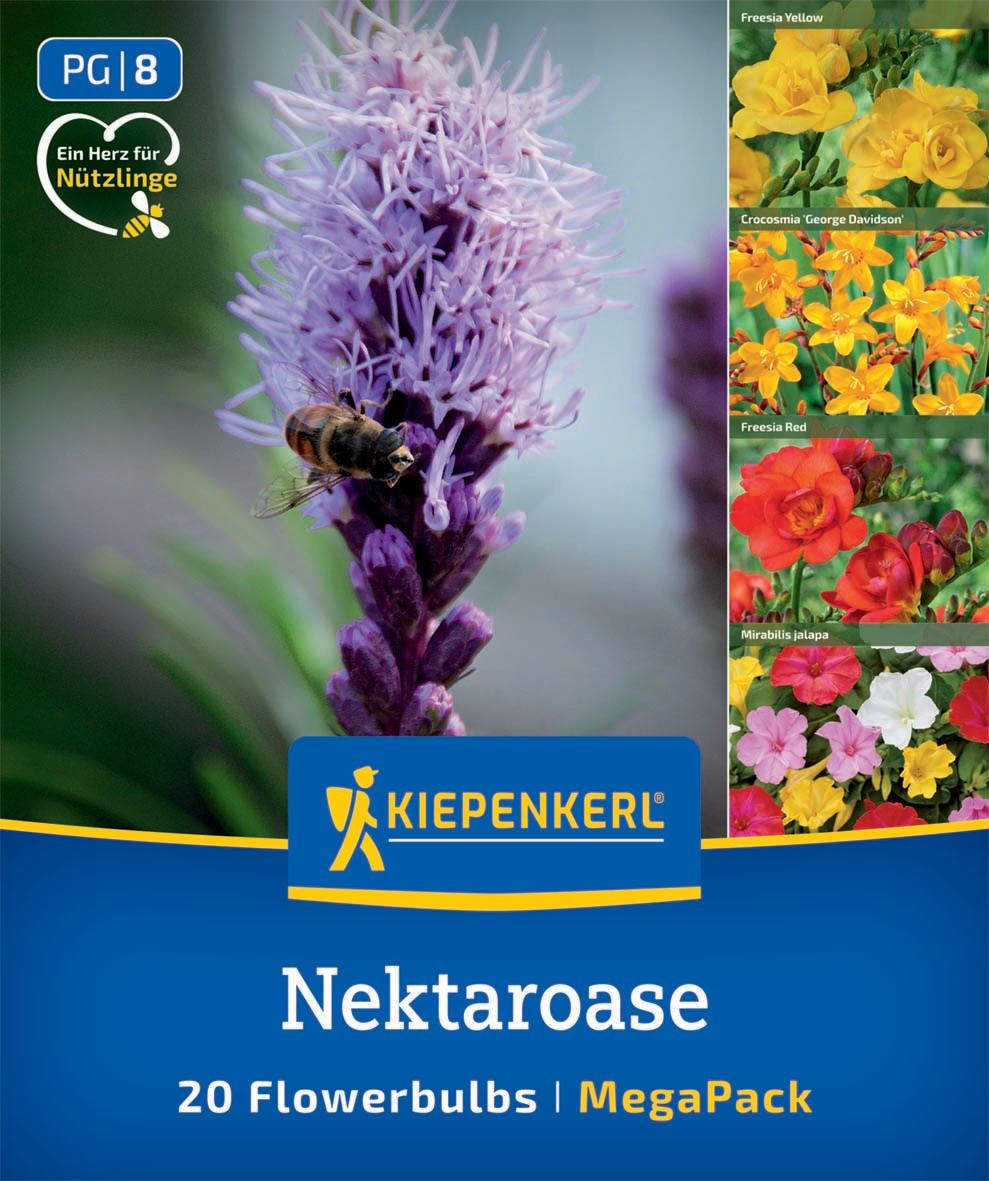 Nektaroase Nektaroase