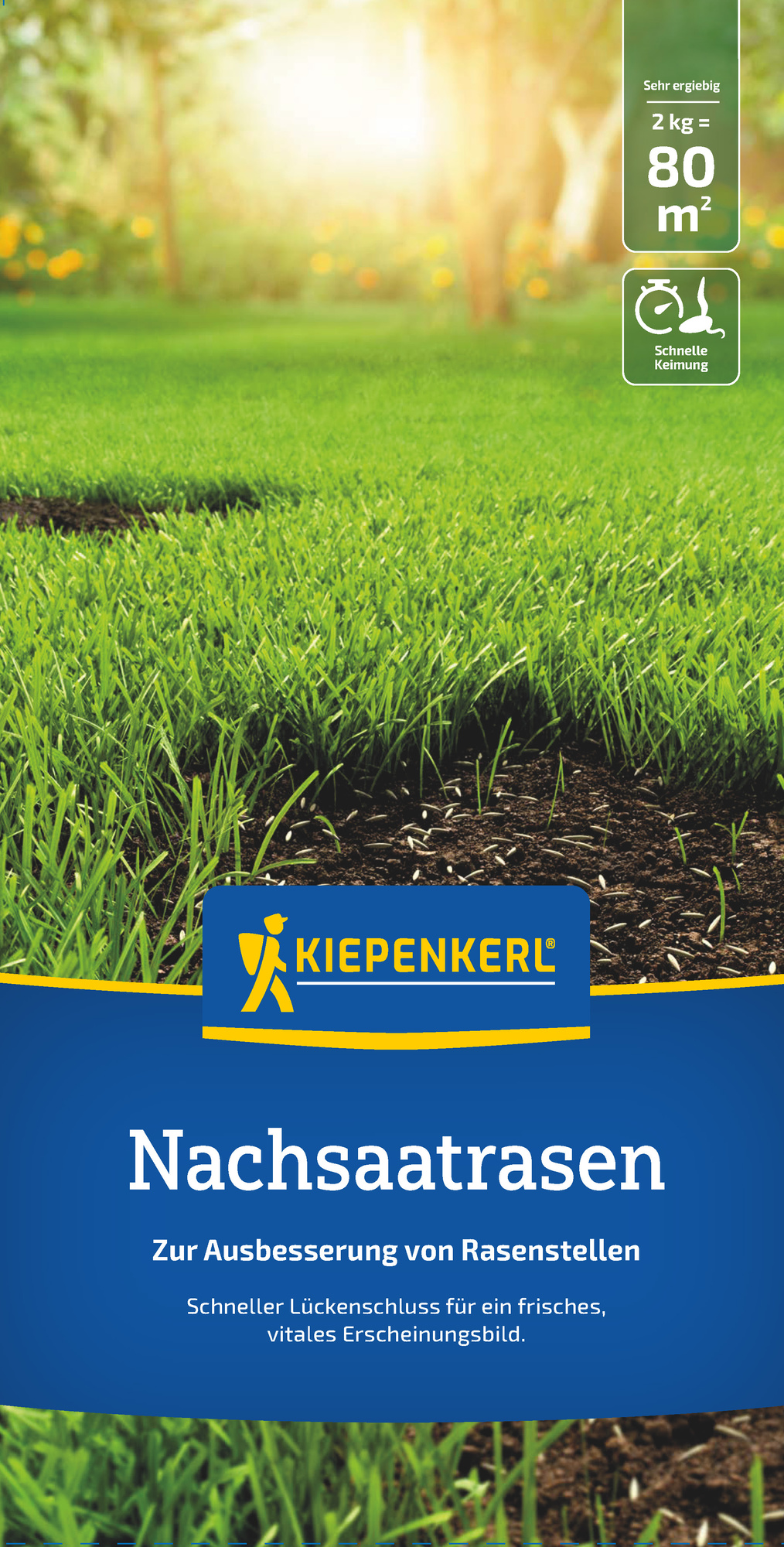 Kiepenkerl Nachsaatrasen, 2 kg Kiepenkerl Nachsaatrasen, 2 kg