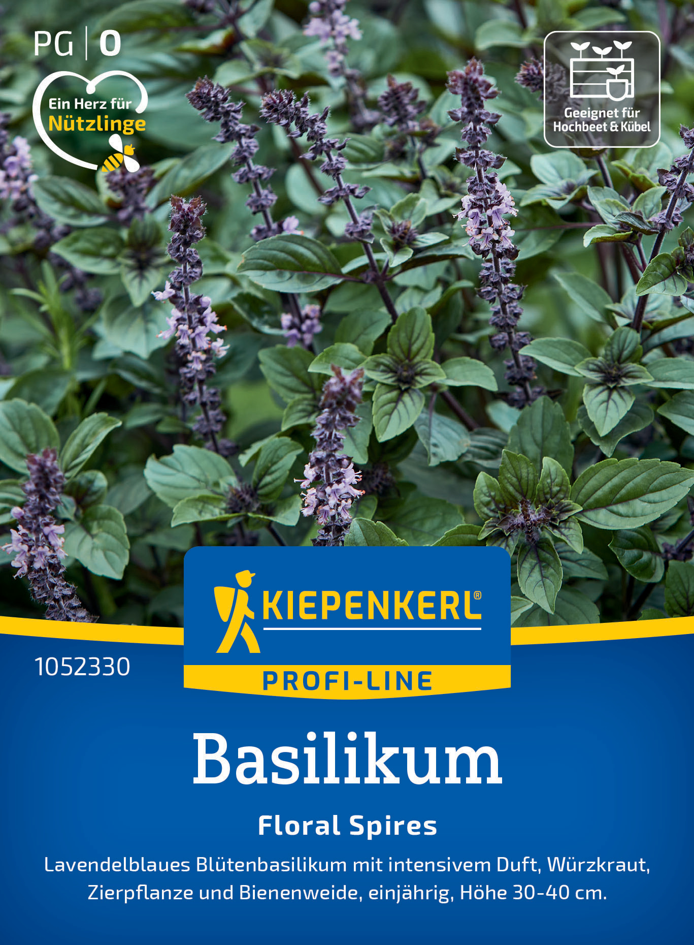 Basilikum Floral Spires Lavendelblau Basilikum Floral Spires Lavendelblau