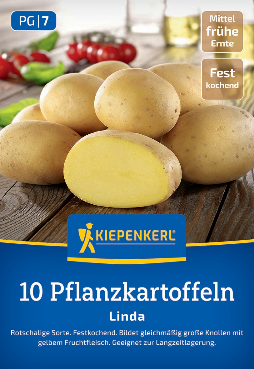 Pflanzkartoffel Linda, 10 St Pflanzkartoffel Linda, 10 St