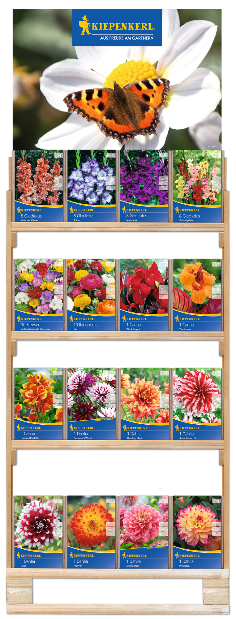 2024 - Frühjahr - Kiepenkerl-Blumenzwiebeln für 'Töpfe & Kästen' im zweiseitigen Holzregal