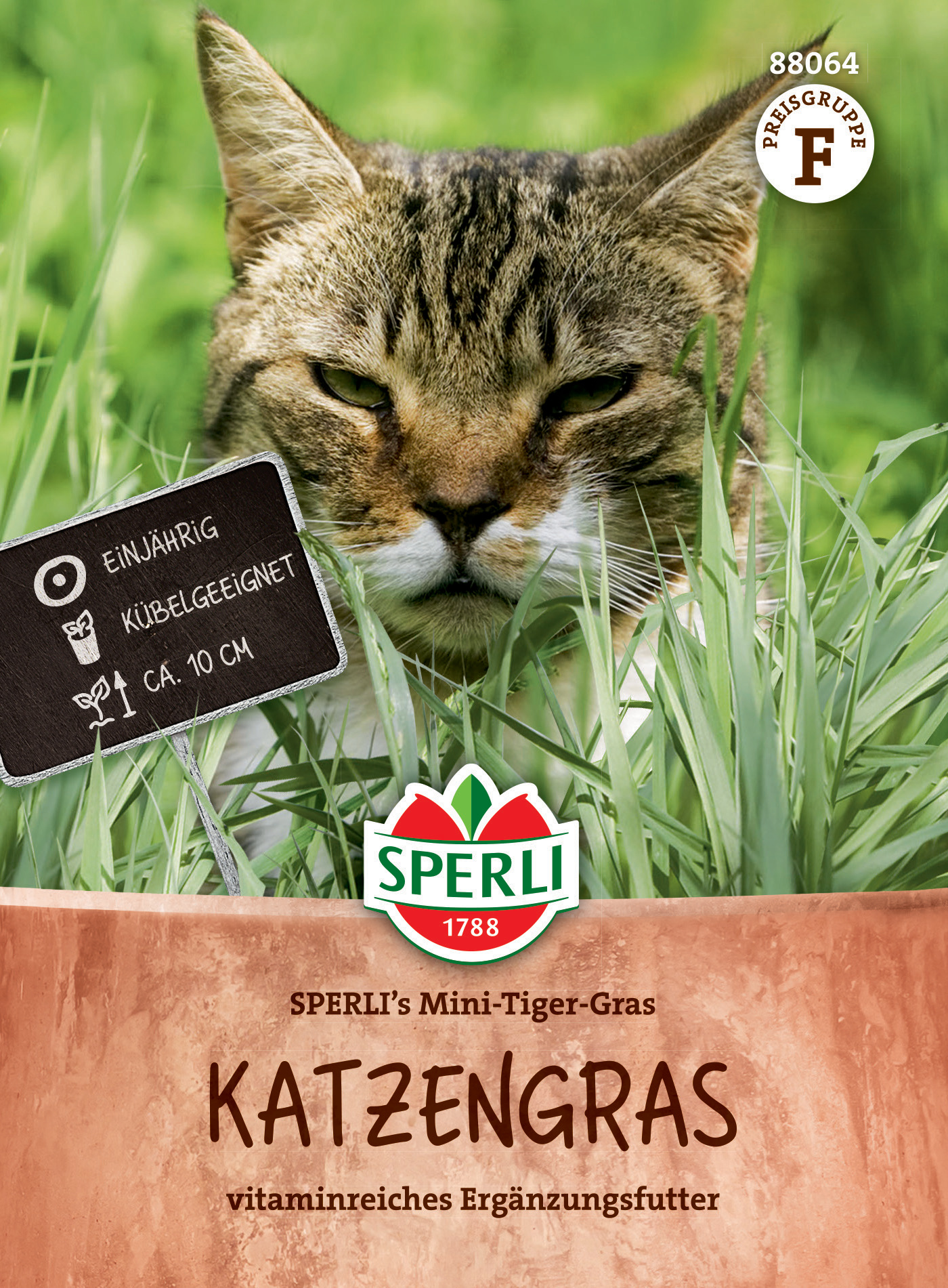 Katzengras SPERLI's Mini-Tiger-Gras Katzengras SPERLI's Mini-Tiger-Gras