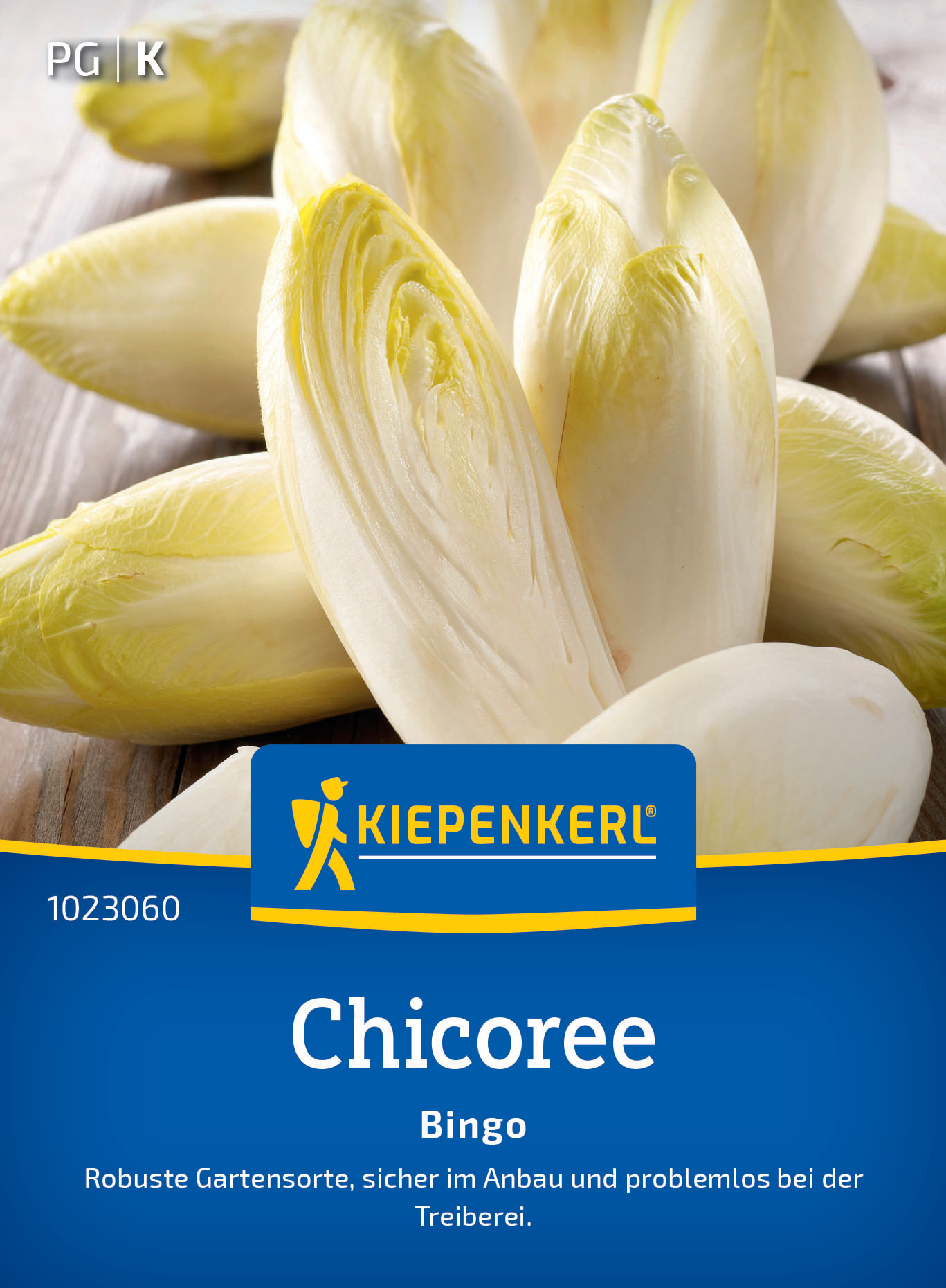 Chicoree Bingo, F1 Chicoree Bingo, F1