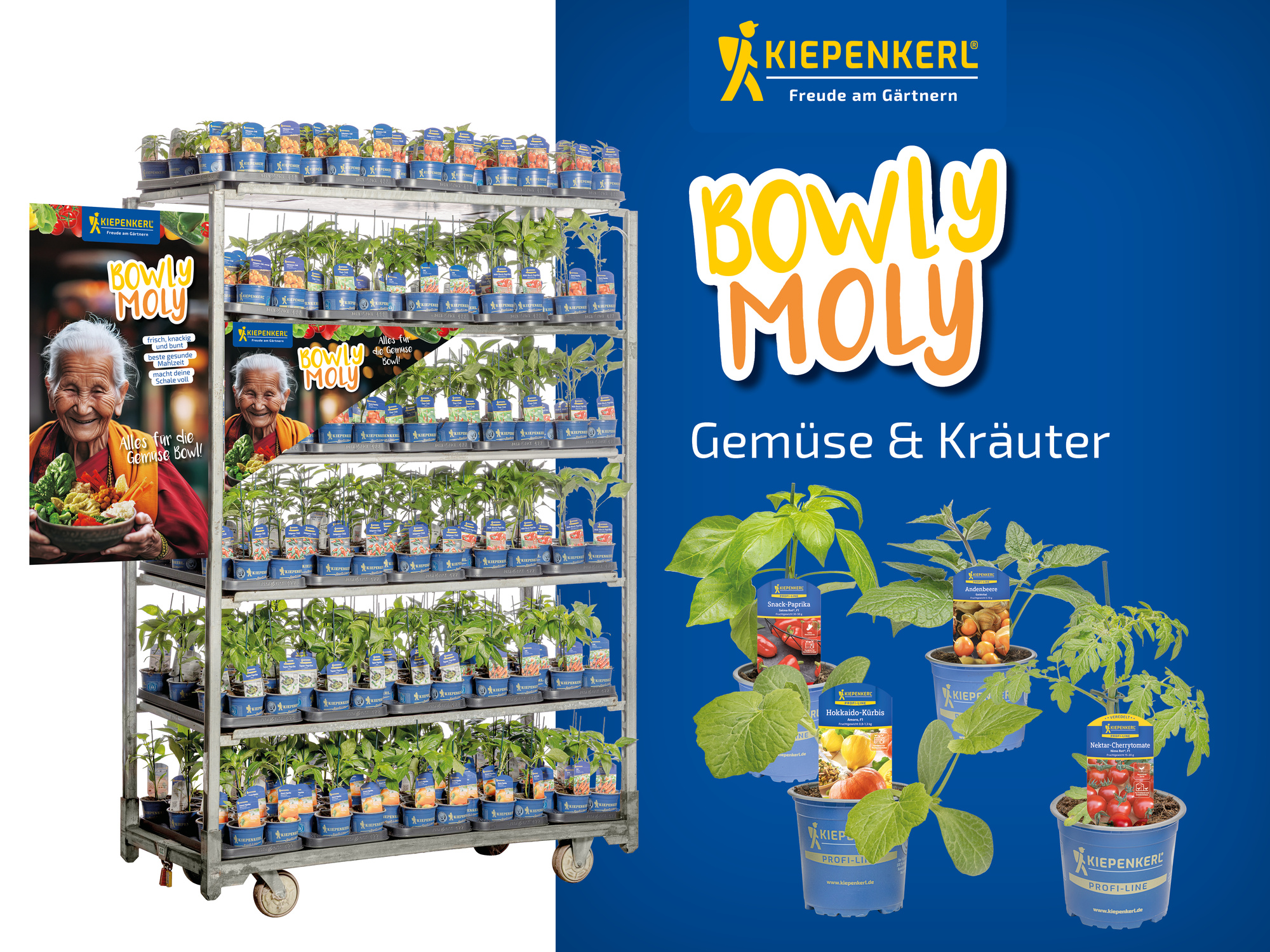 2026 - Frühjahr - ProfiLine Pflanzen - Bowly Mowly