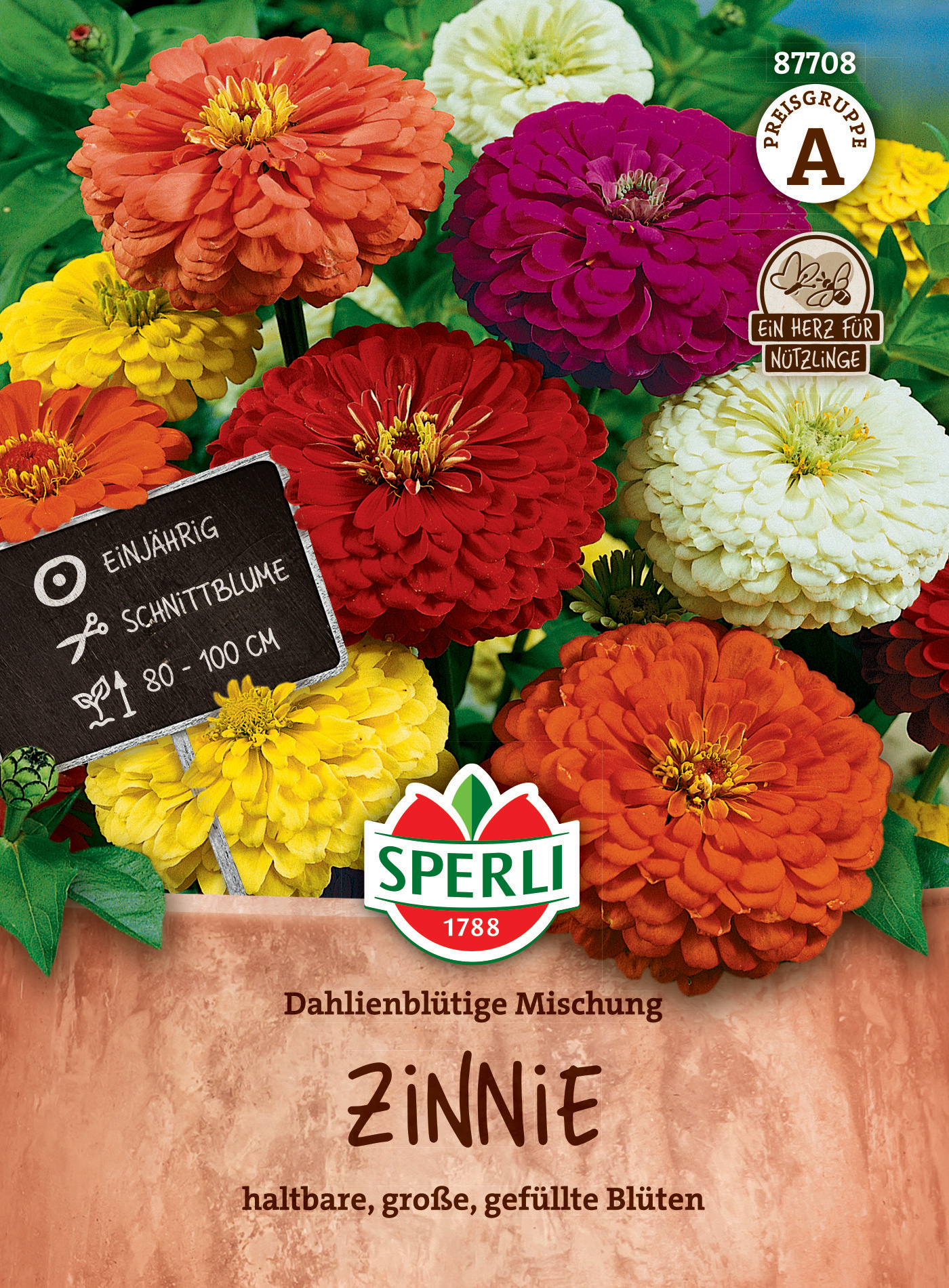 Zinnie Dahlienblütige Mischung Zinnie Dahlienblütige Mischung