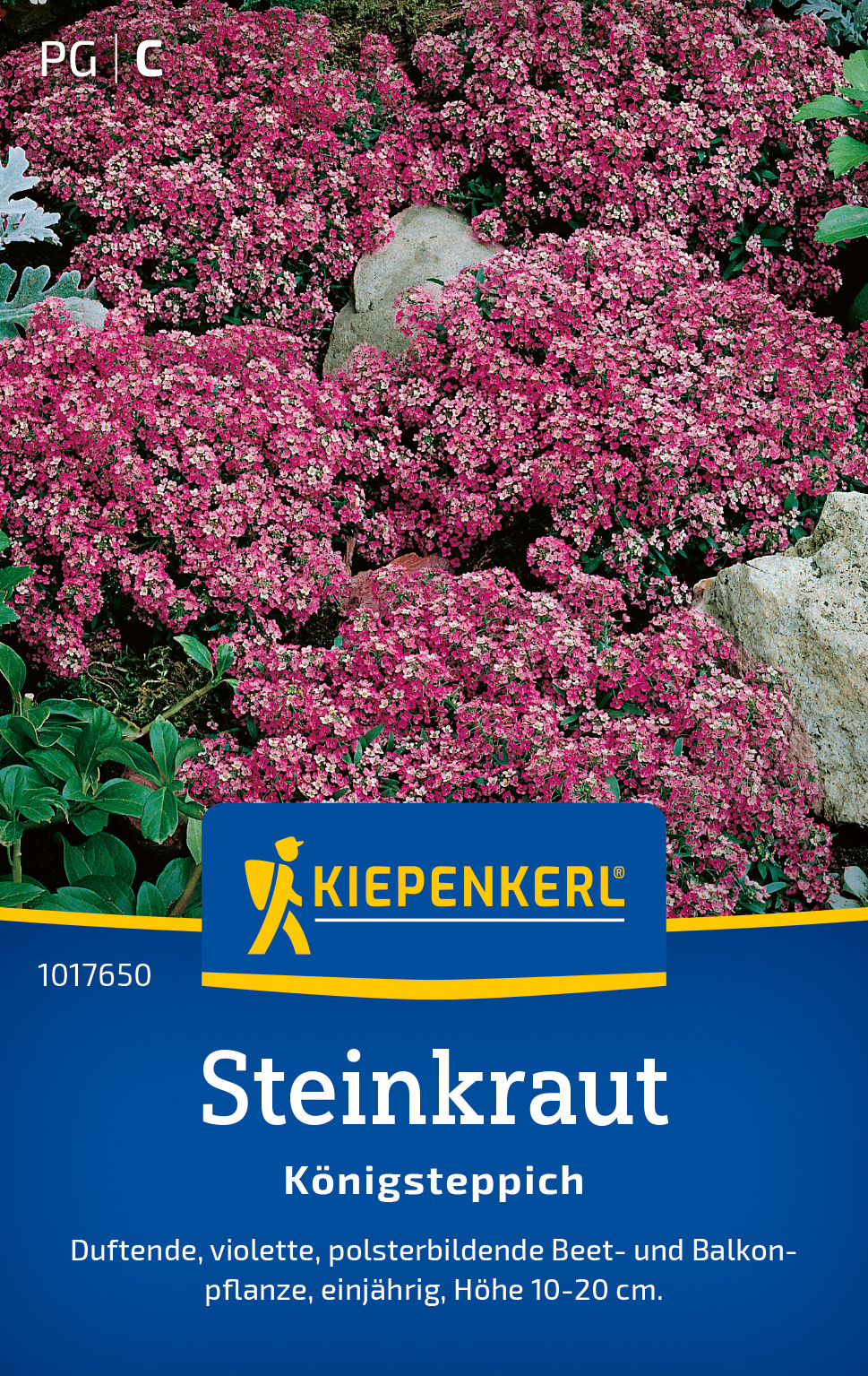 Steinkraut Königsteppich