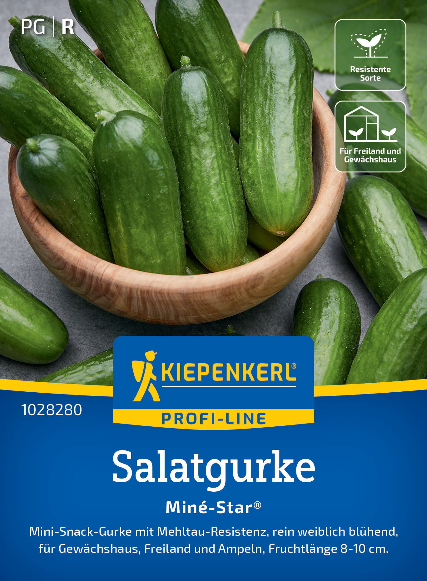 Salatgurke Miné-Star®, F1 Salatgurke Miné-Star®, F1