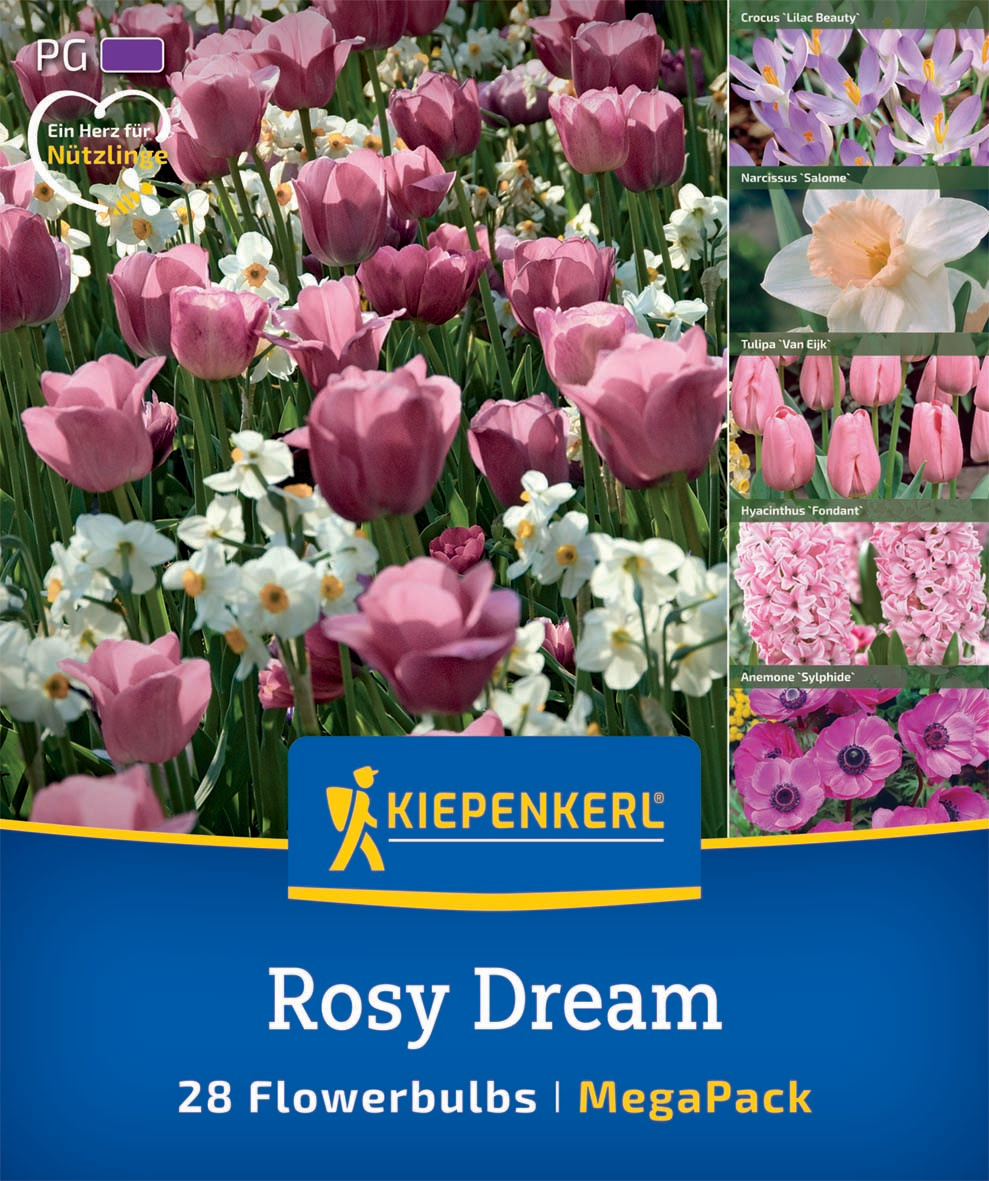 Mega Pack Rosy Dream
