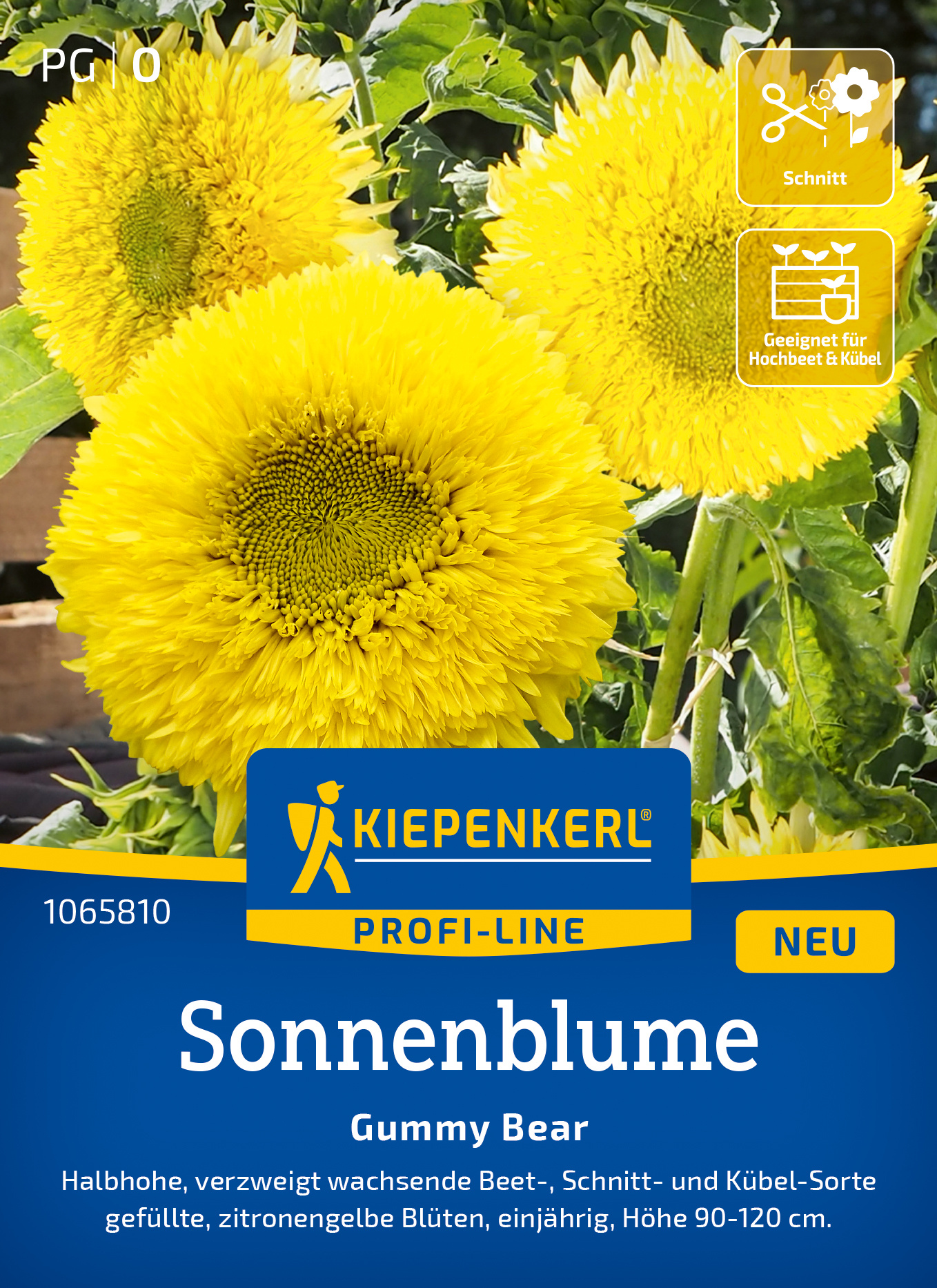 Sonnenblume Gummy Bear
