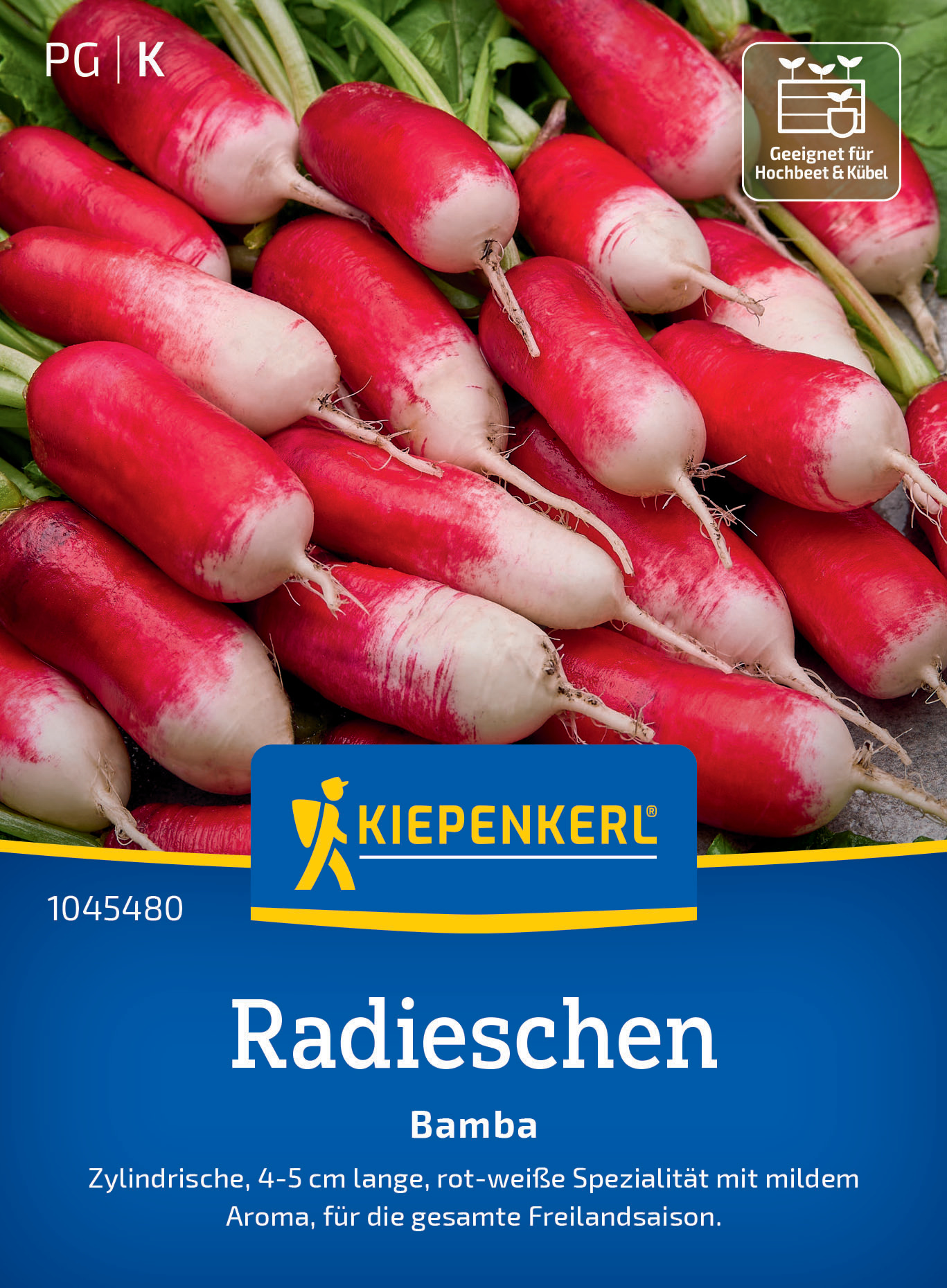 Radieschen Bamba