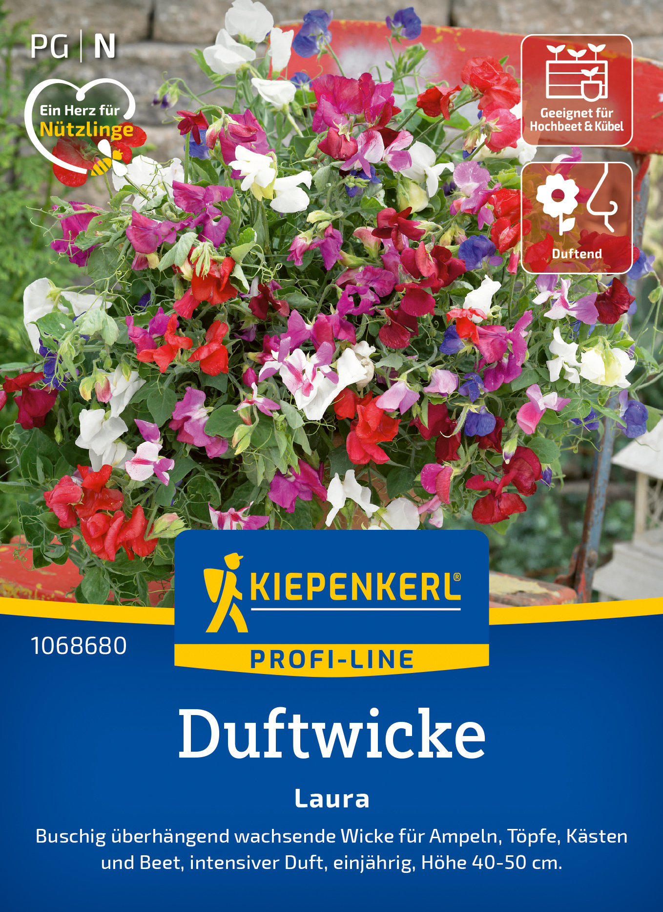 Duftwicke Laura