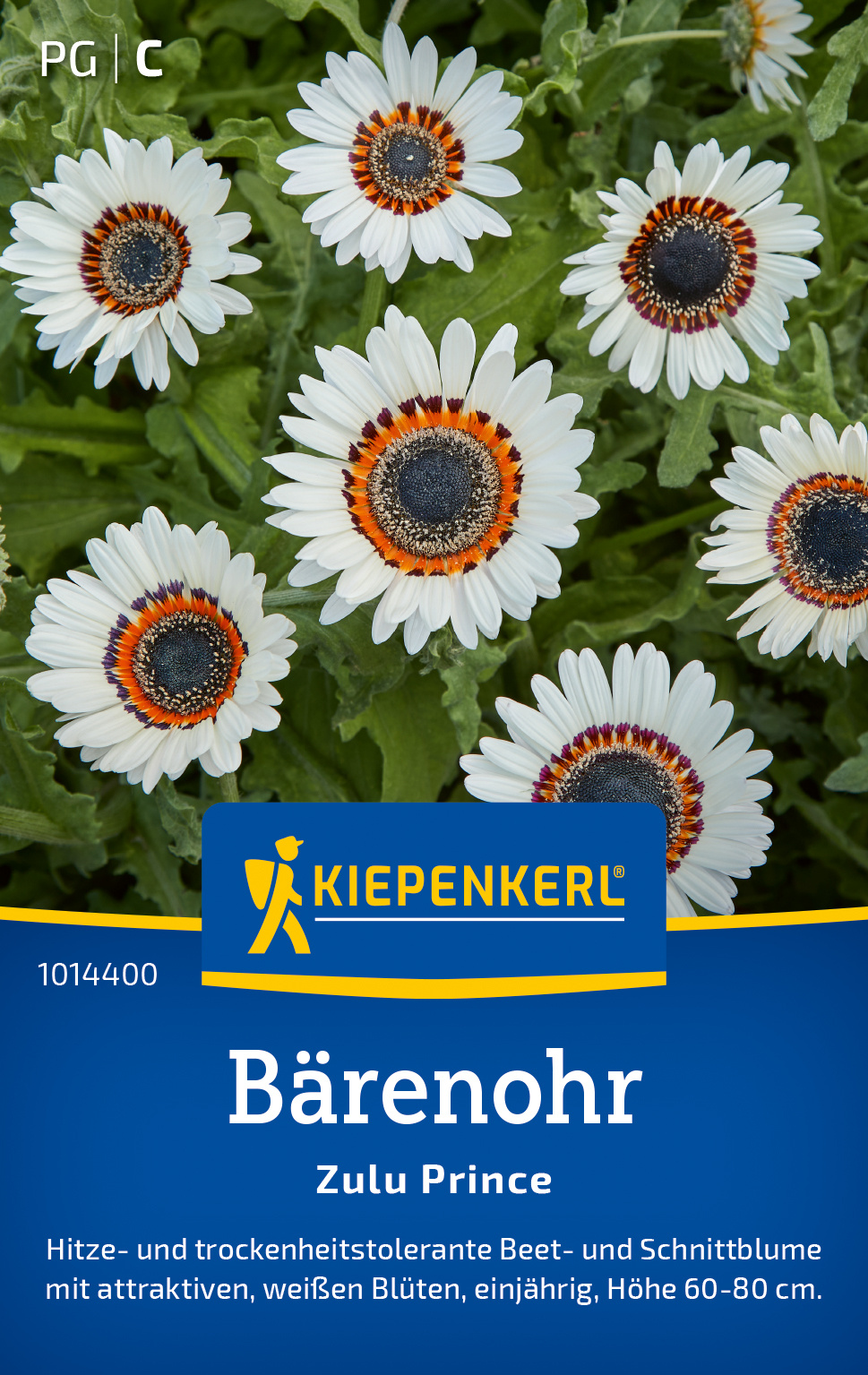 Bärenohr Zulu Prince