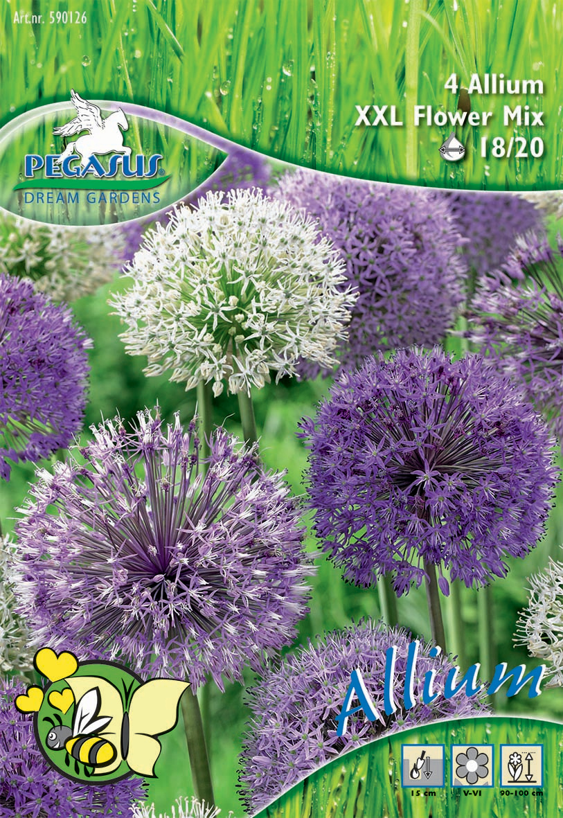 Pegasus Aktion Zierlauch Violett-Purpur-Weiß