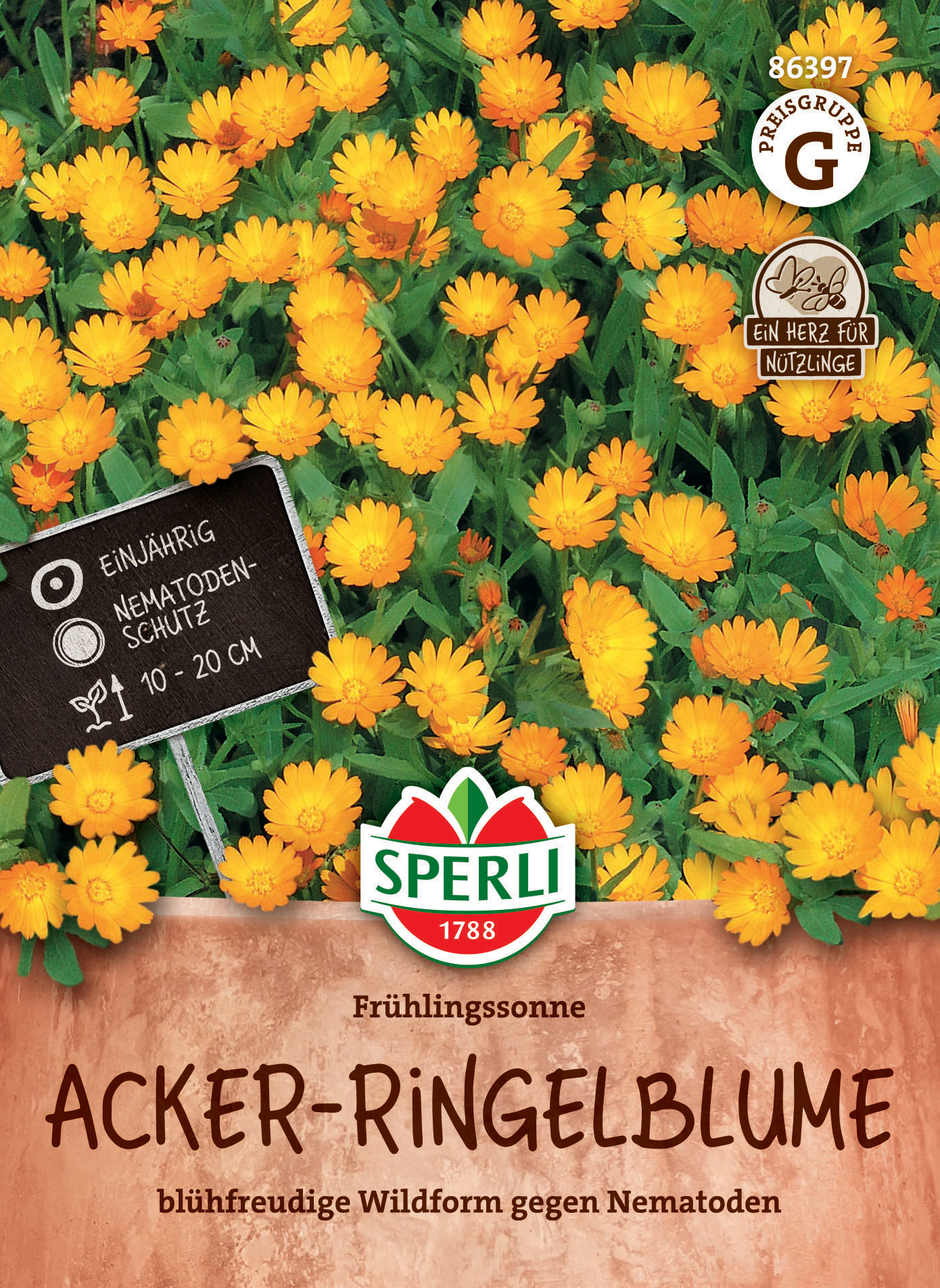 Acker-Ringelblume Frühlingssonne Acker-Ringelblume Frühlingssonne