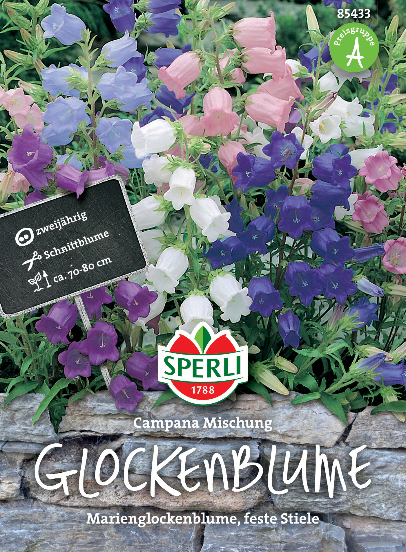 Glockenblume Campana Mischung Glockenblume Campana Mischung