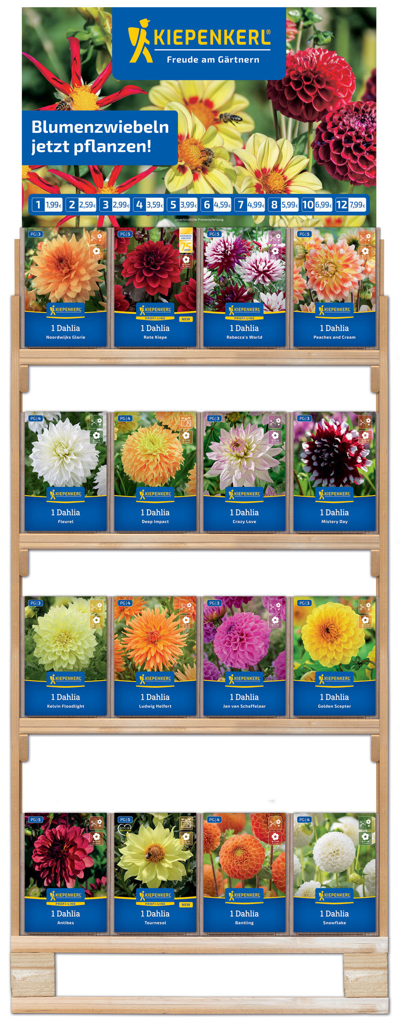 2026 - Frühjahr - Kiepenkerl-Blumenzwiebeln Slowflower - Schnittblumen' Halbpaletten-Regal