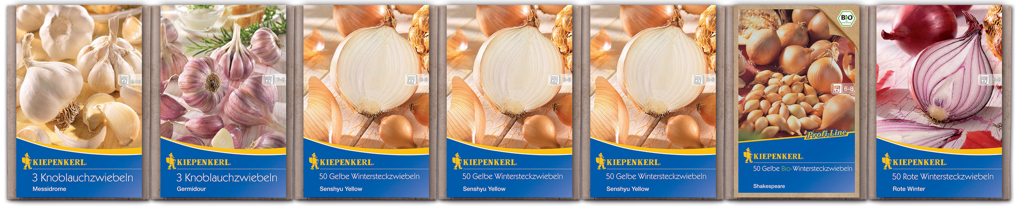 2025 - Herbst - Kiepenkerl-Steckzwiebel Knoblauch zur Ergänzung bei Tribünenaufbauten