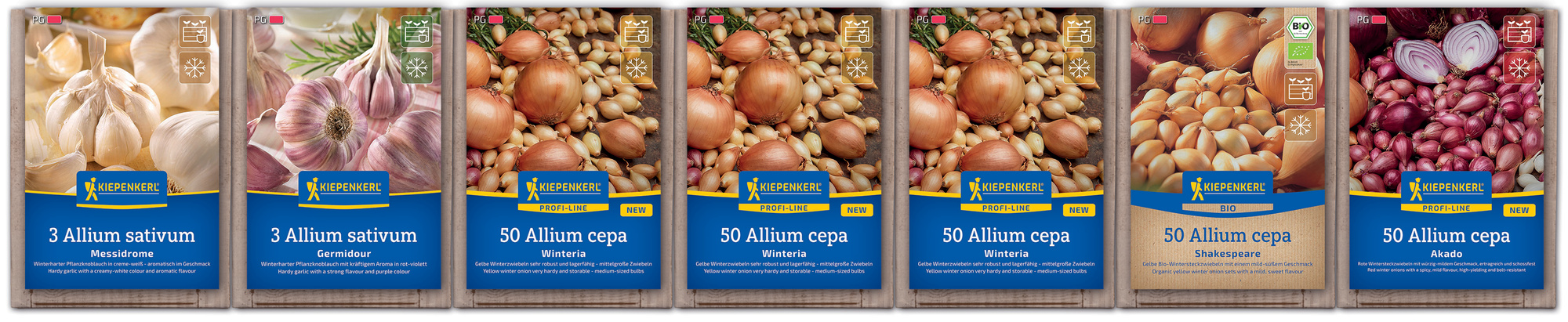 2025 - Herbst - Kiepenkerl-Steckzwiebel Knoblauch zur Ergänzung bei Tribünenaufbauten
