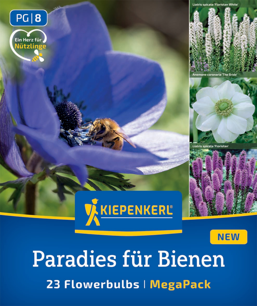Paradies für Bienen