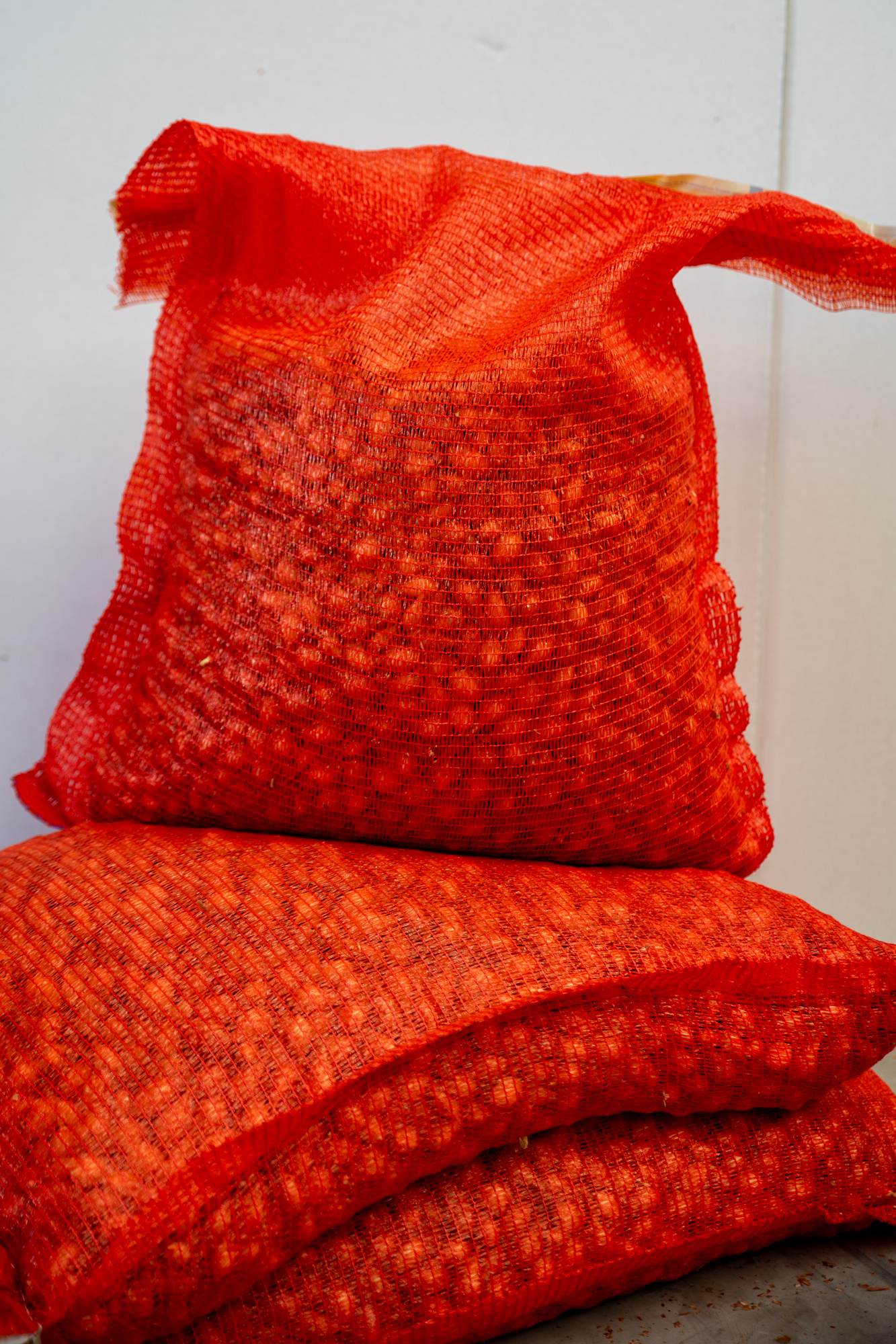 Steckzwiebel Crusado, Gr.10/21