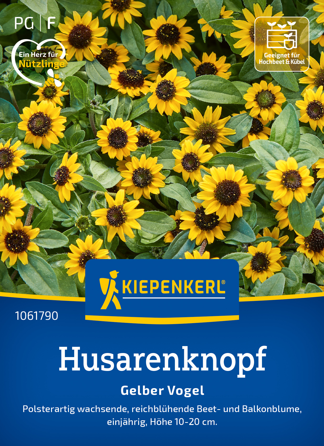Husarenknopf Gelber Vogel