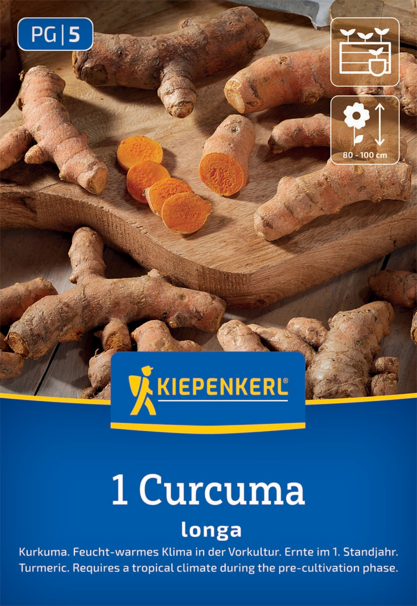 Kurkuma Curcuma longa Kurkuma Curcuma longa