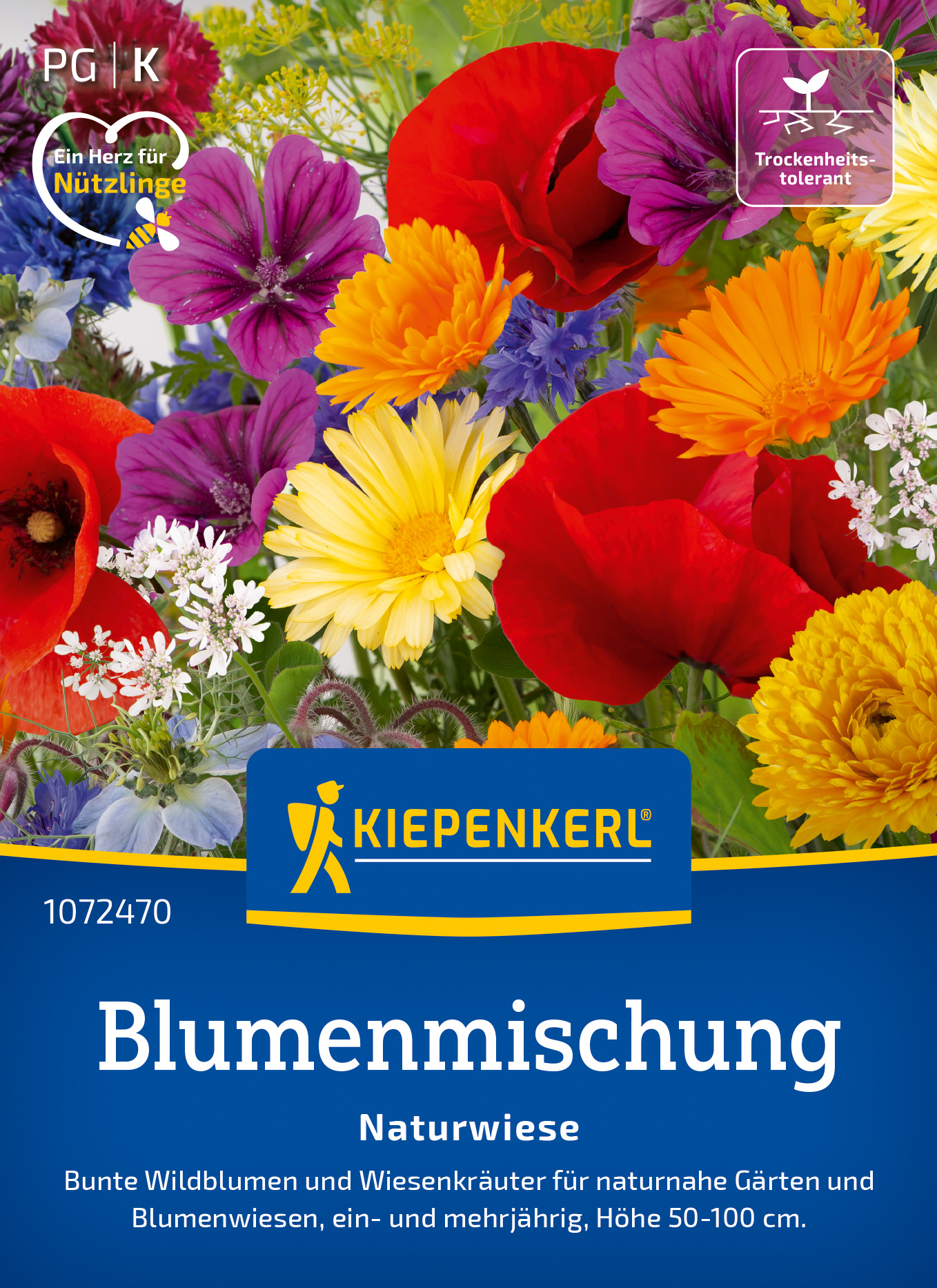 Blumenmischung Naturwiese
