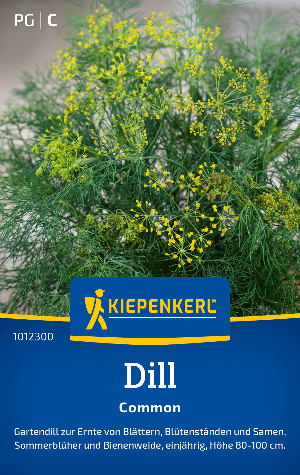 Dill Common