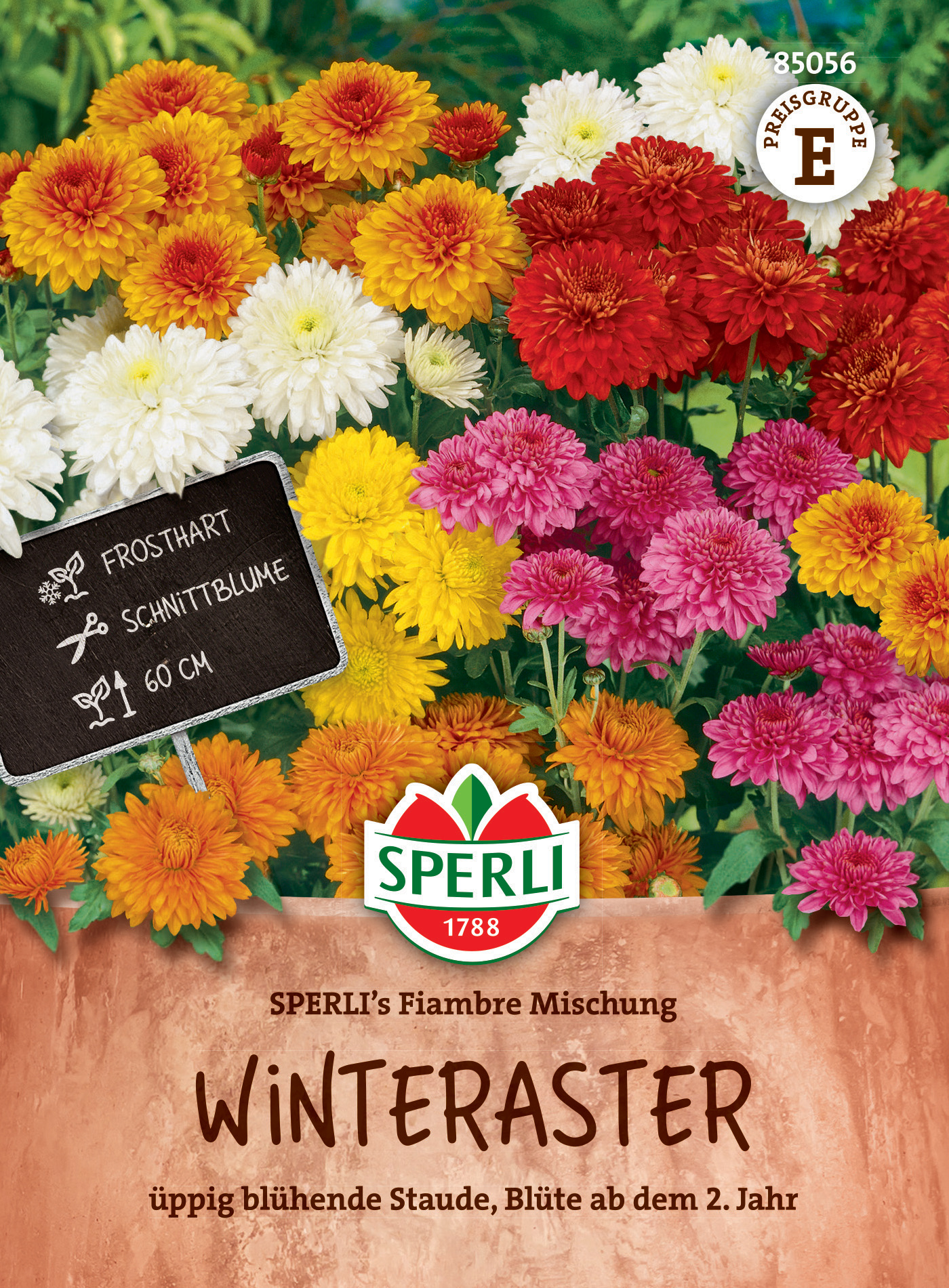 Winteraster SPERLI's Fiambre Mischung Winteraster SPERLI's Fiambre Mischung