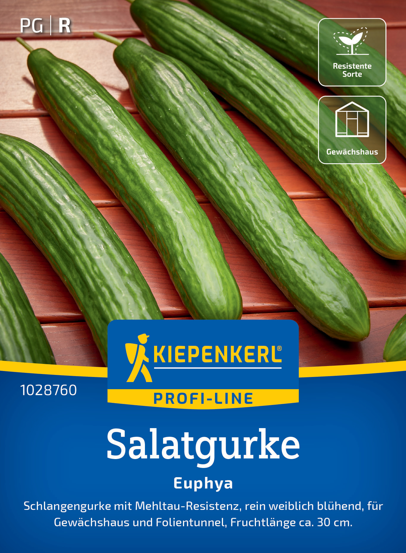 Salatgurke Euphya, F1 Salatgurke Euphya, F1