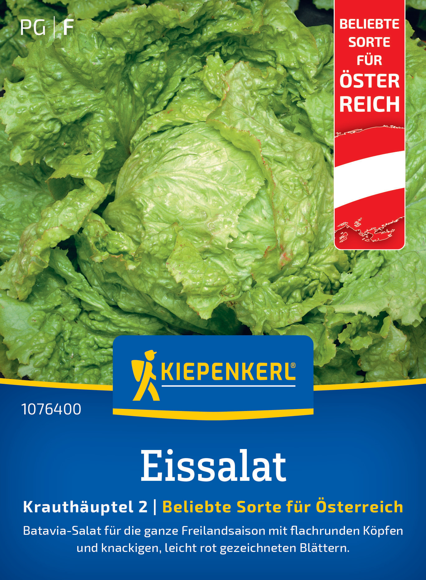 Eissalat Grazer Krauthäuptel 2 (Regional AT)