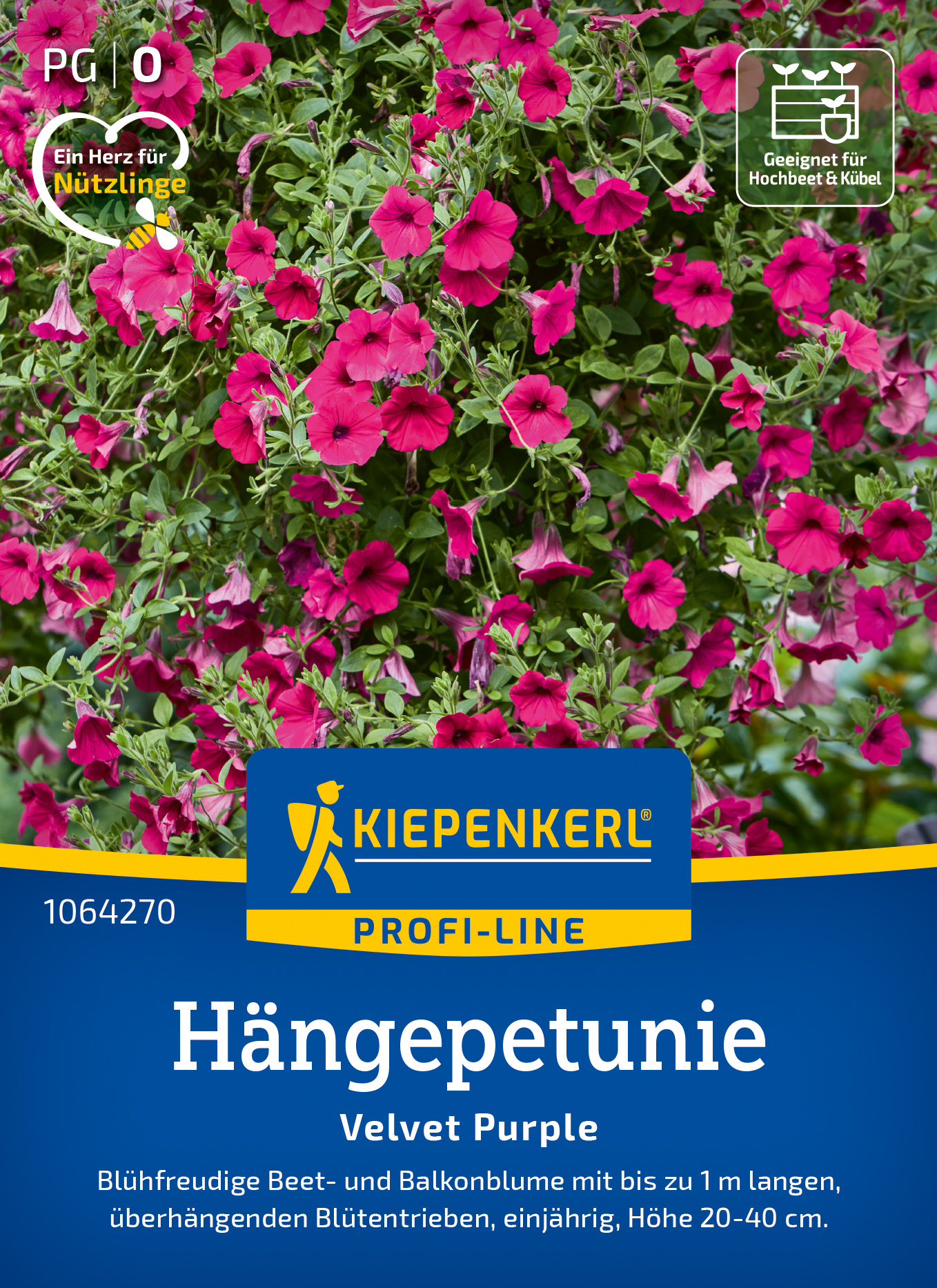 Hängepetunie Velvet Purple, F1, Pillensaat