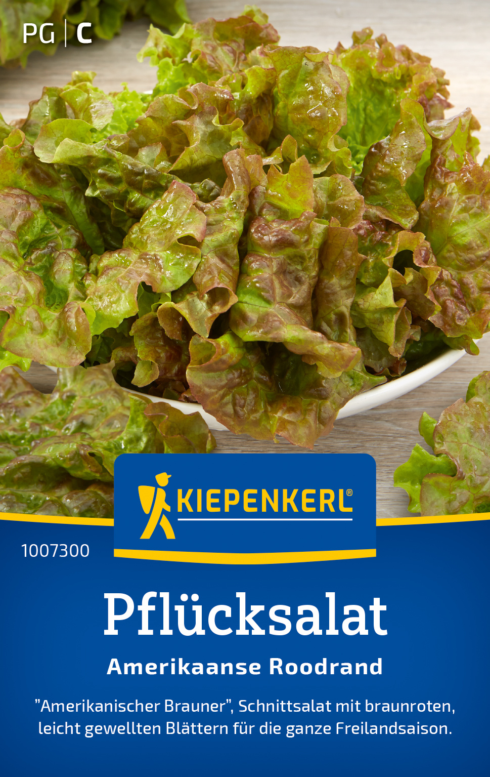 Pflücksalat Amerikaanse Roodrand Pflücksalat Amerikaanse Roodrand