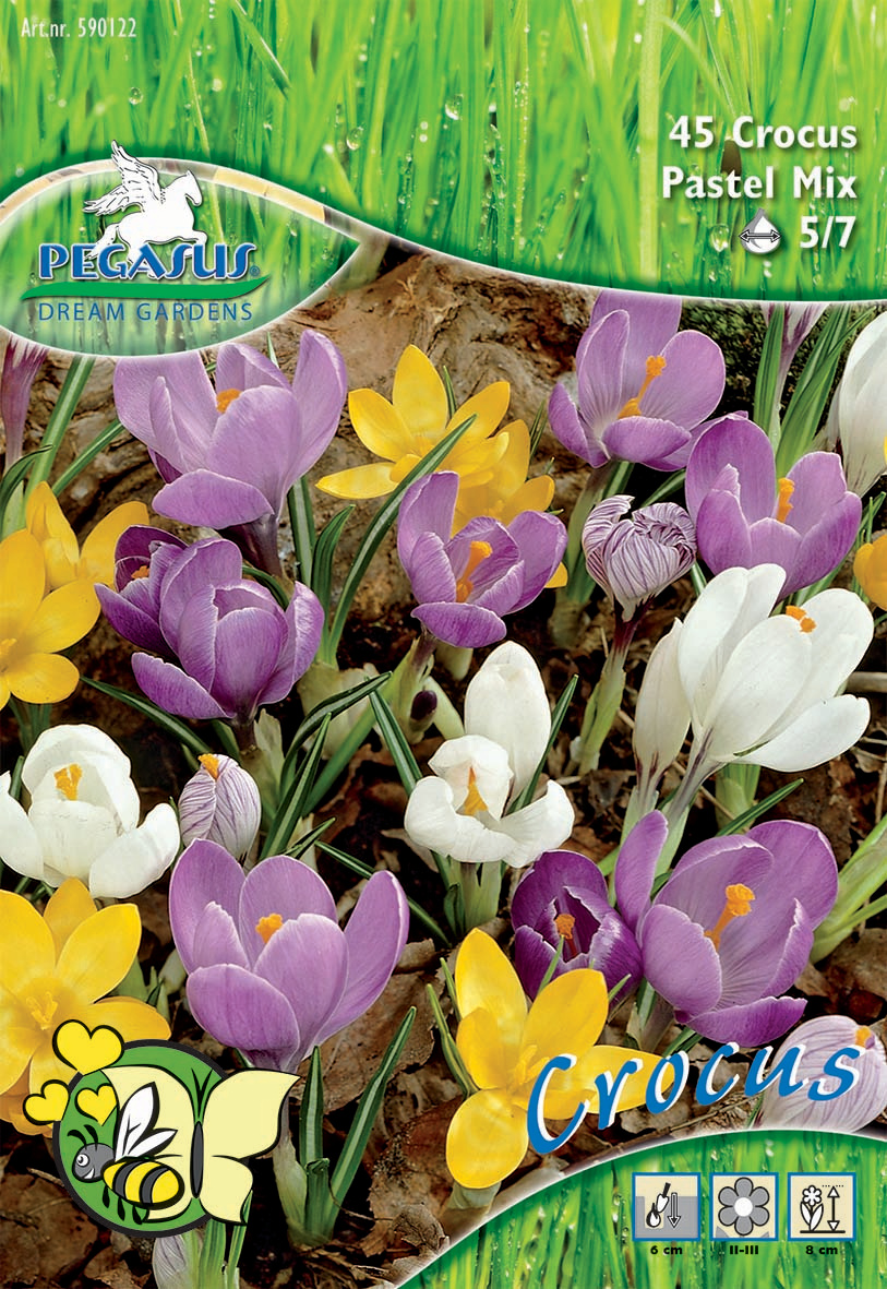 Pegasus Aktion Bot. Krokusse Pastell-Mix Pegasus Aktion Bot. Krokusse Pastell-Mix