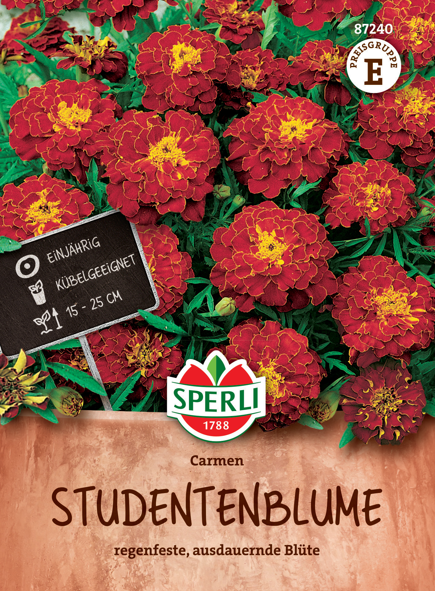 Studentenblume Carmen Studentenblume Carmen